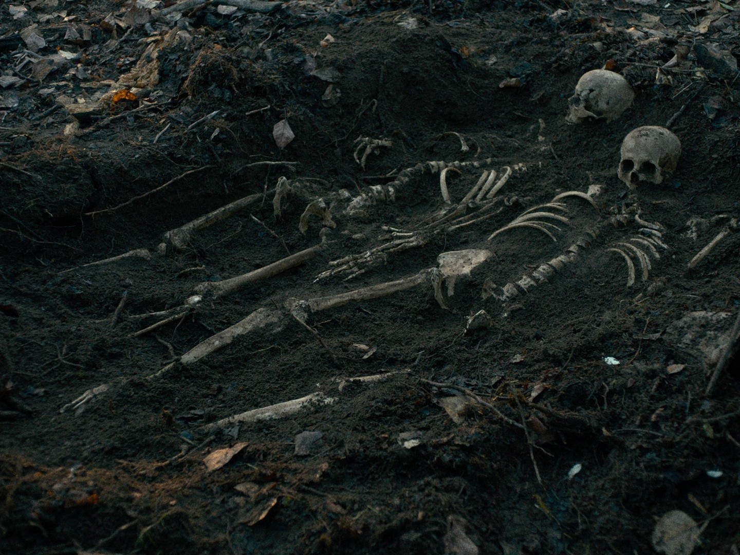 First Cow (2019) —  shot,  lighting