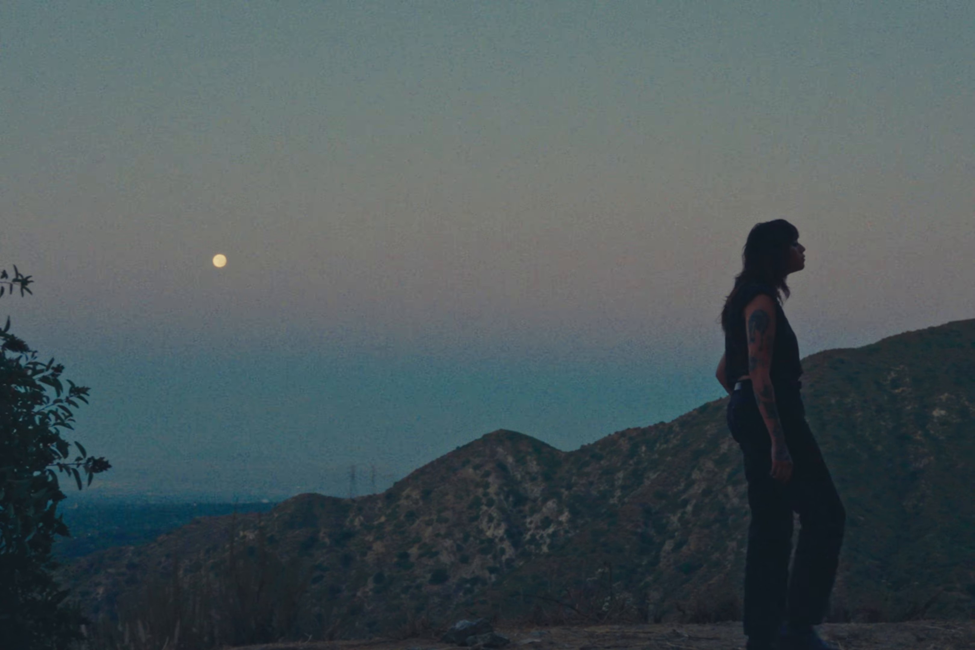 bleed you (2024) —  shot,  lighting