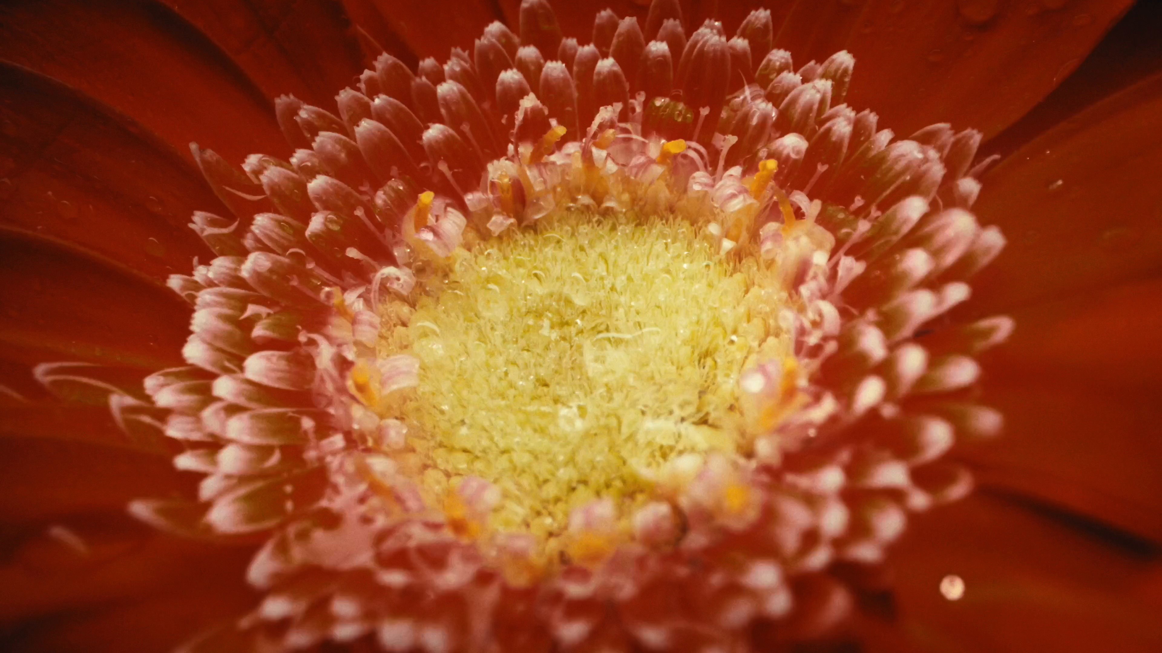 Valerion - See Every Frame Come Alive. (2025) —  shot,  lighting