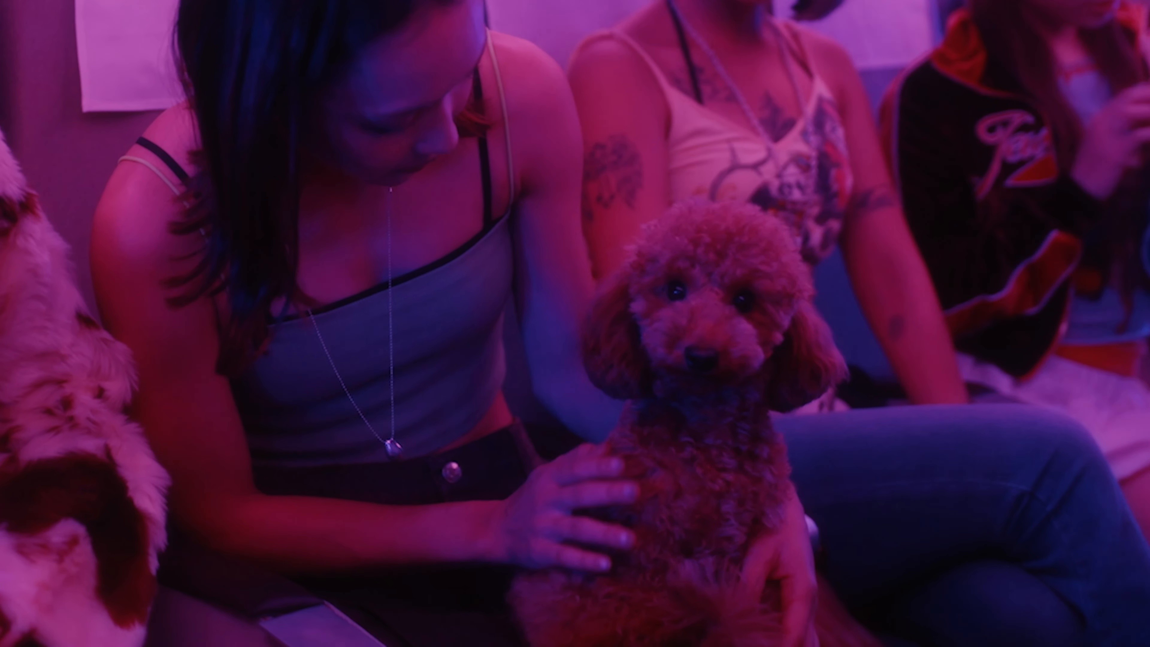 EASY MODE (2025) —  shot,  lighting