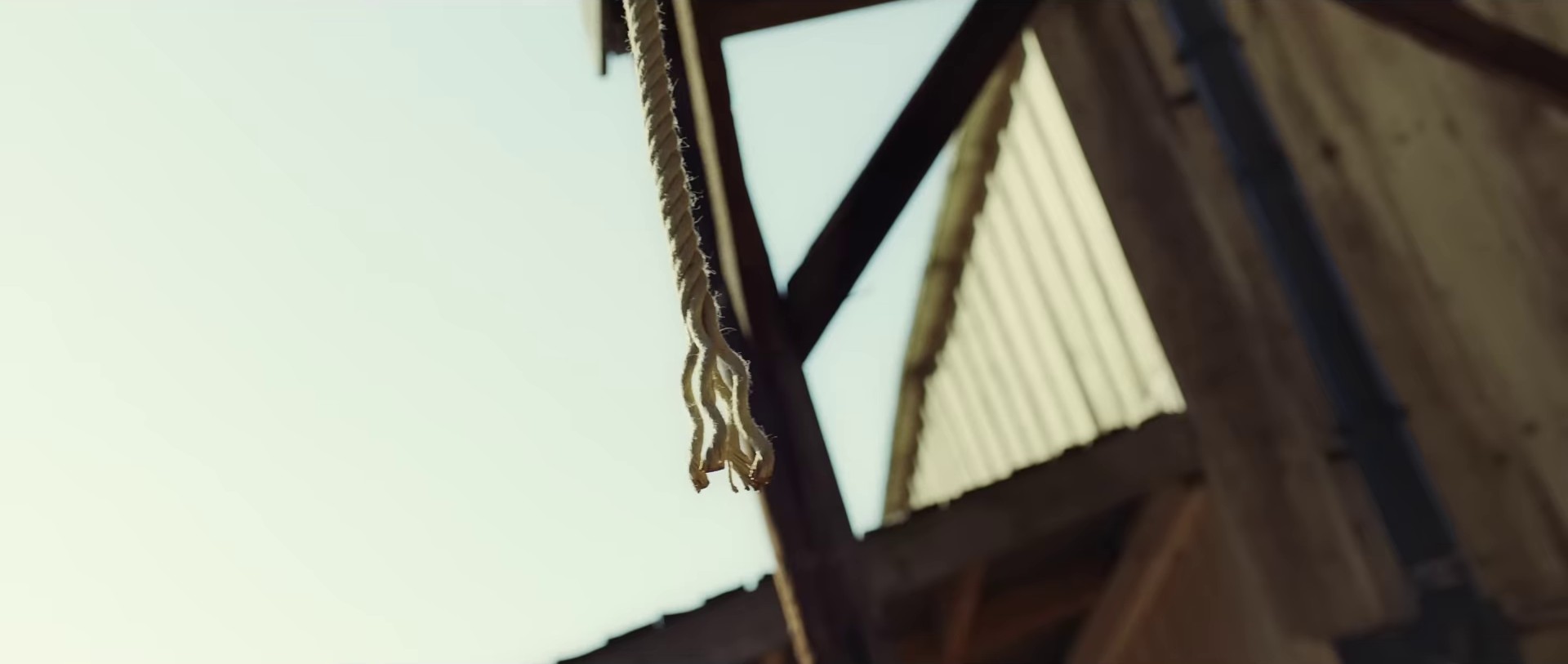 Unhealthy (2023) —  shot,  lighting