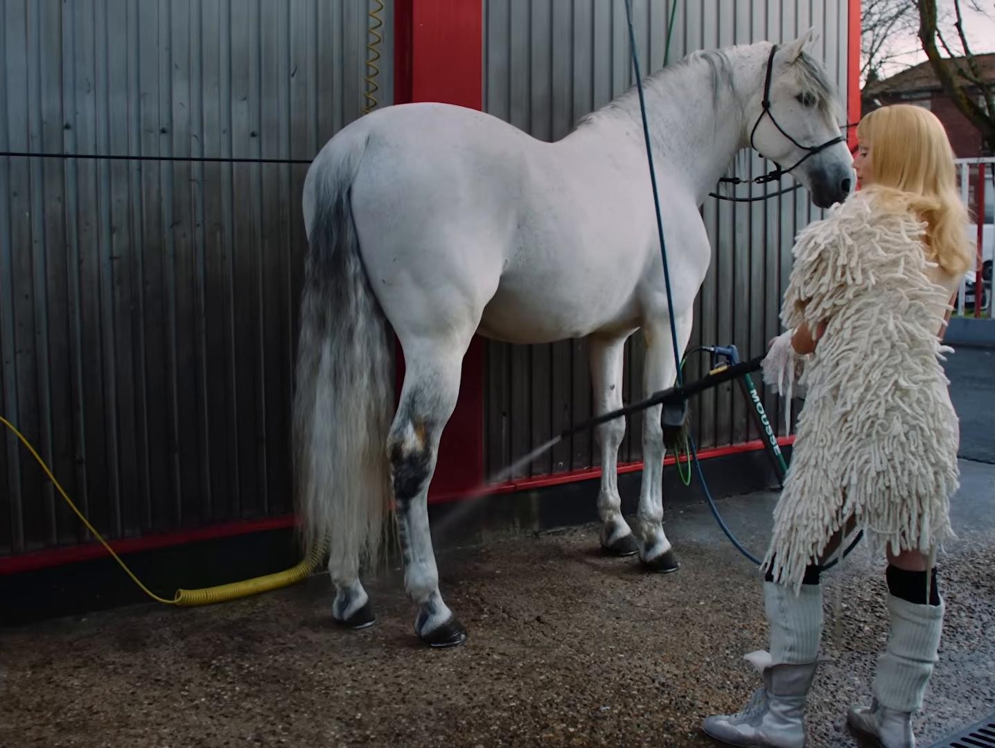 Love Lasso (2025) —  shot,  lighting