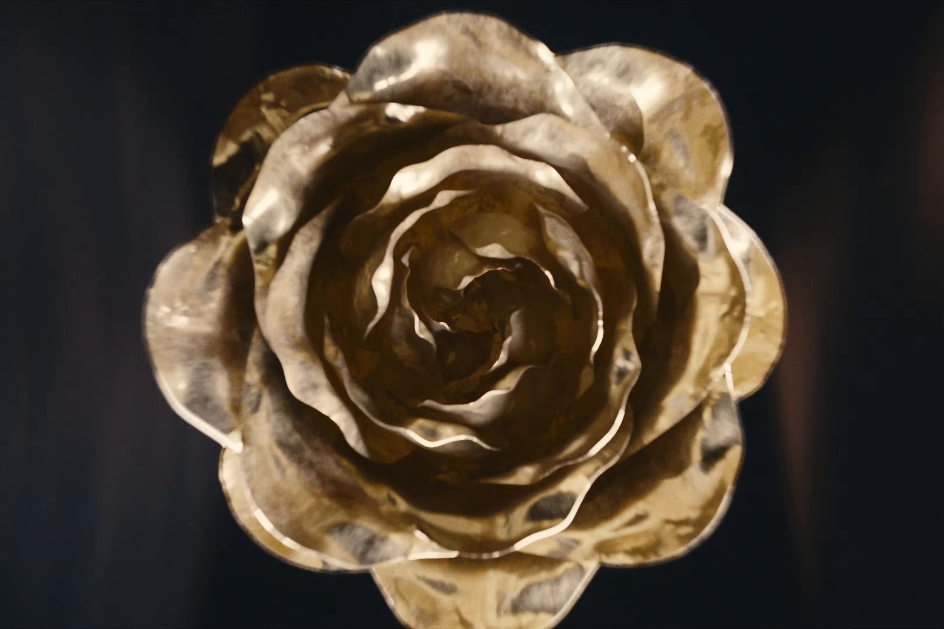 VƯỜN HỒNG (2025) —  shot,  lighting