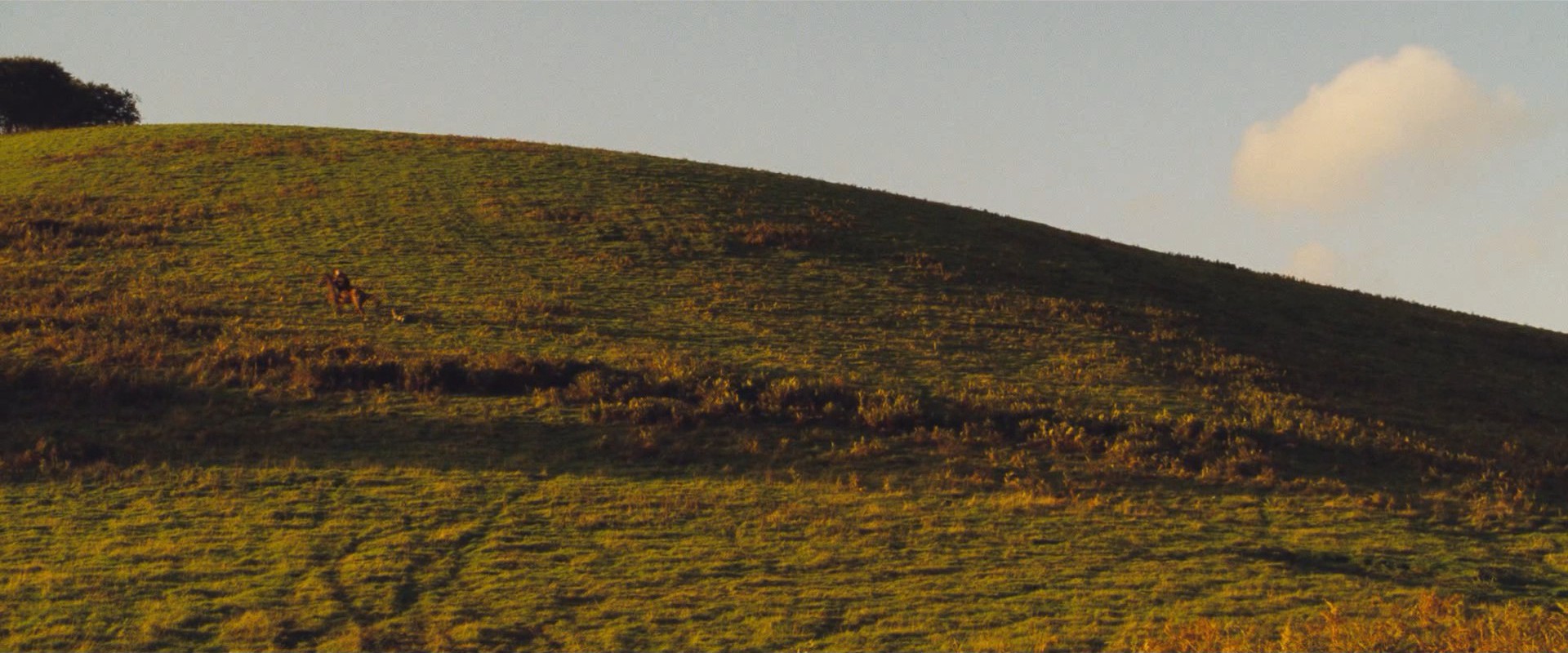 Far from the Madding Crowd (2015) —  shot,  lighting