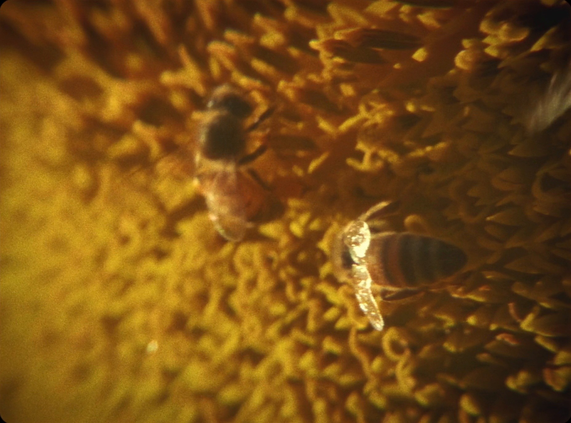 Hundred Acres (2025) —  shot,  lighting