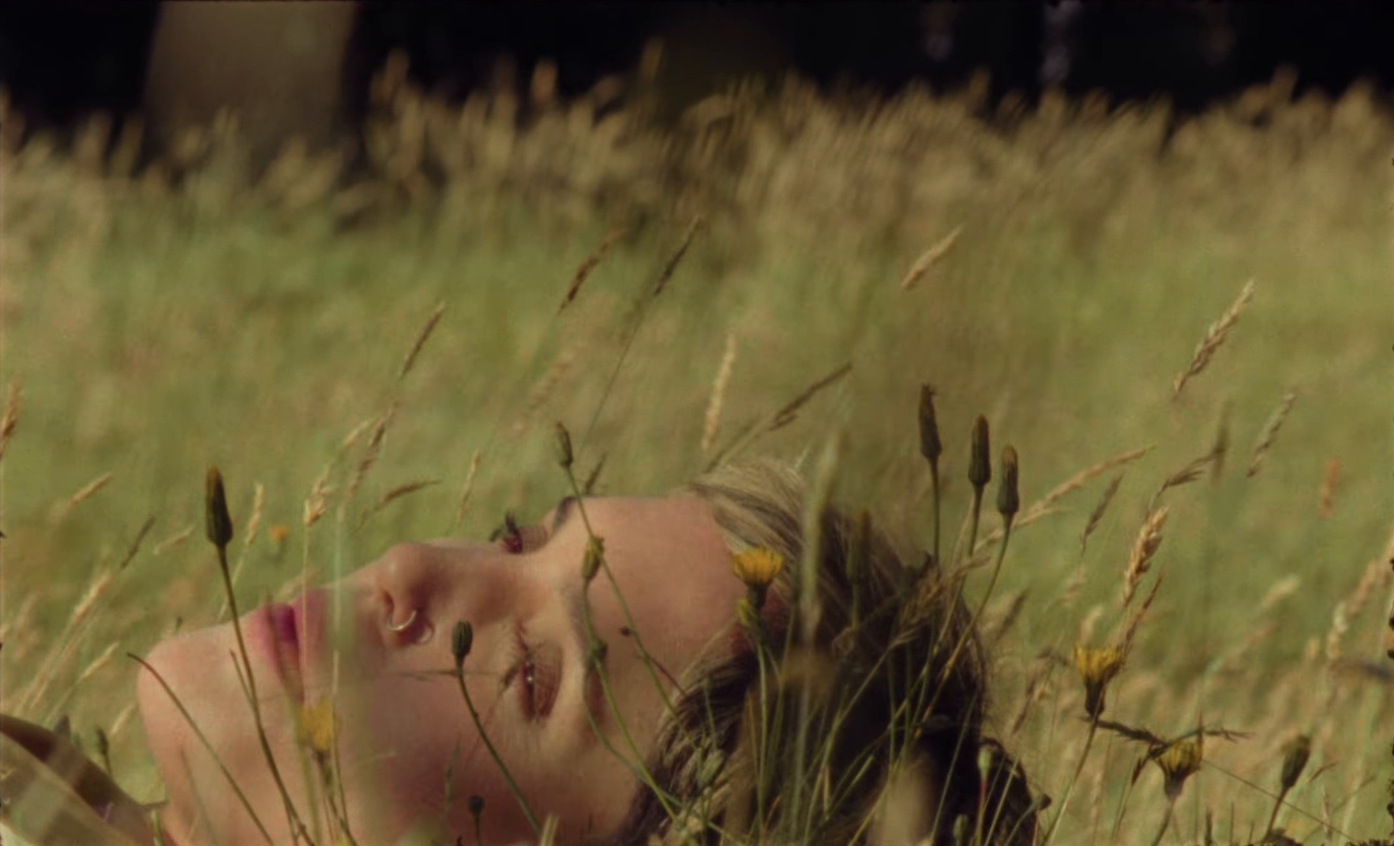 VOY CRECIENDO (2025) —  shot,  lighting