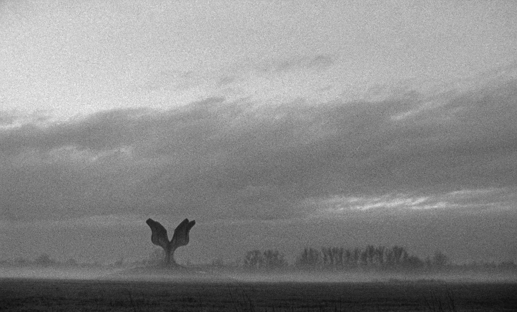 Last and First Men (2020) —  shot,  lighting