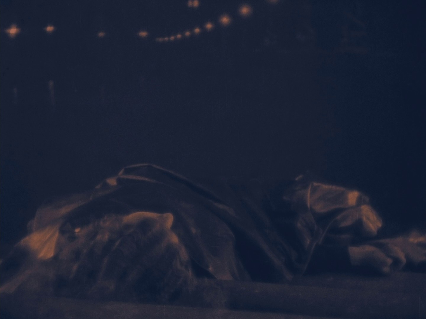 The Lodger: A Story of the London Fog (1927) —  shot,  lighting