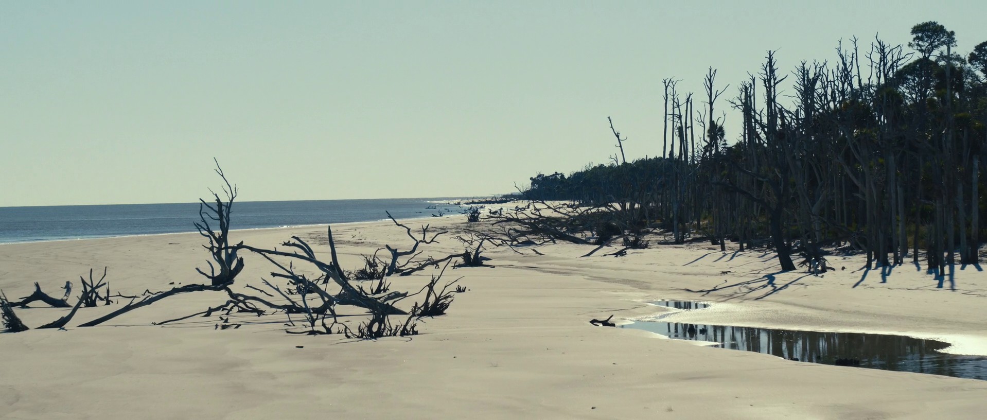 The Menu (2022) —  shot,  lighting