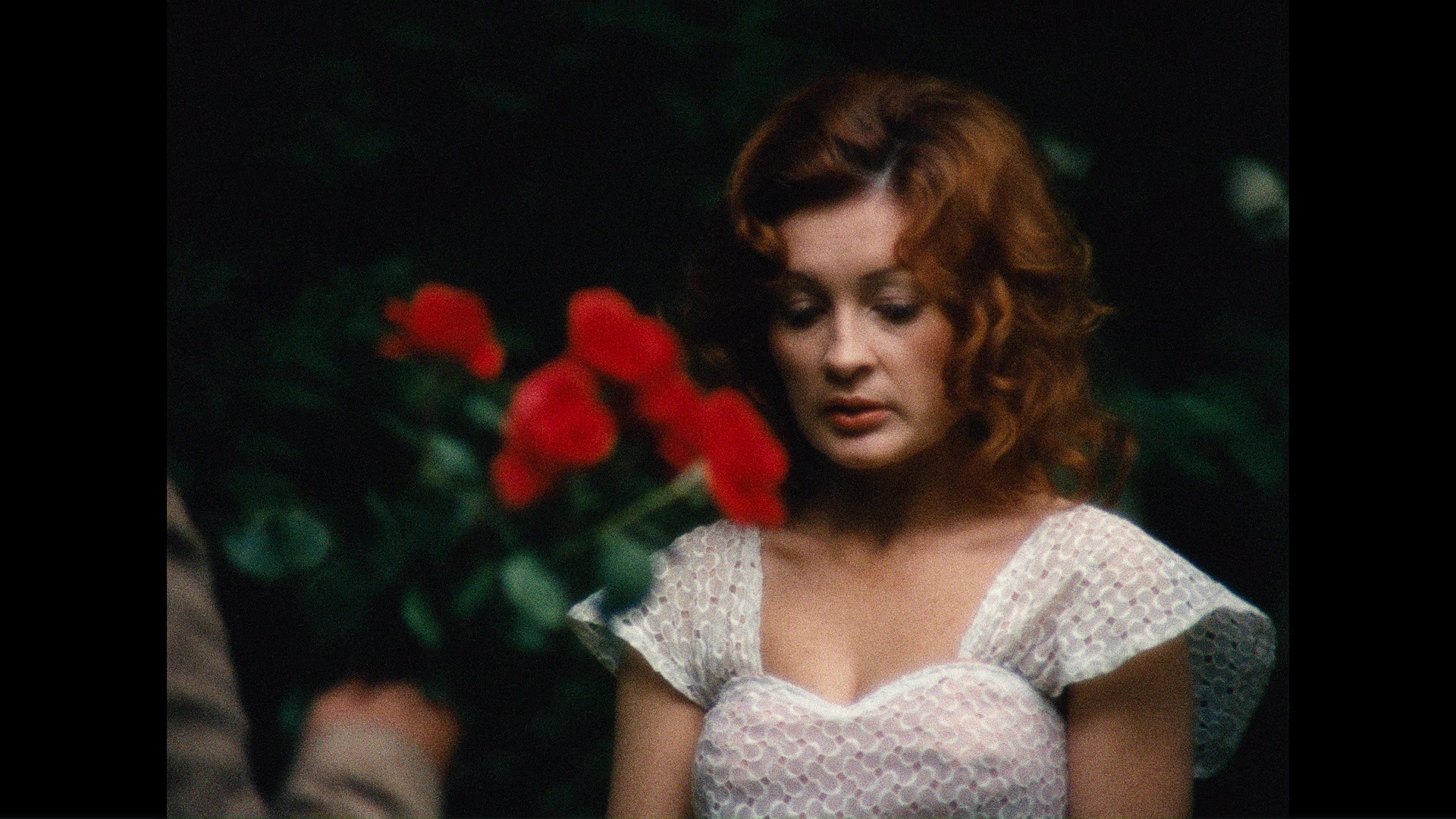 The Merchant of Four Seasons (1972) —  shot,  lighting