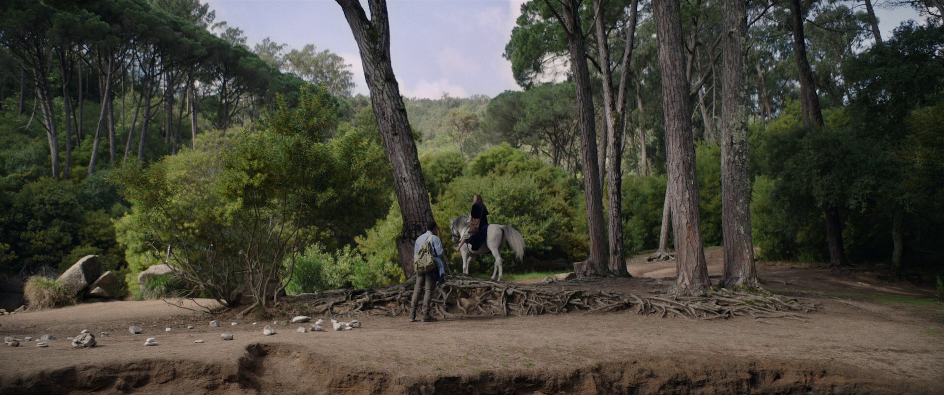 Color Out of Space (2019) —  shot,  lighting
