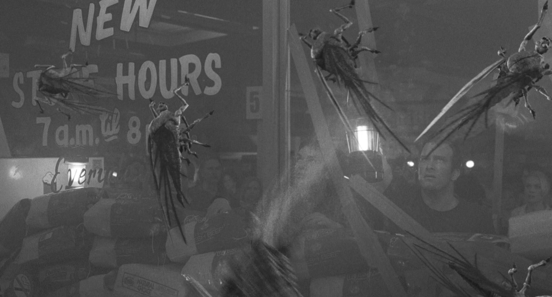 The Mist (2007) —  shot,  lighting