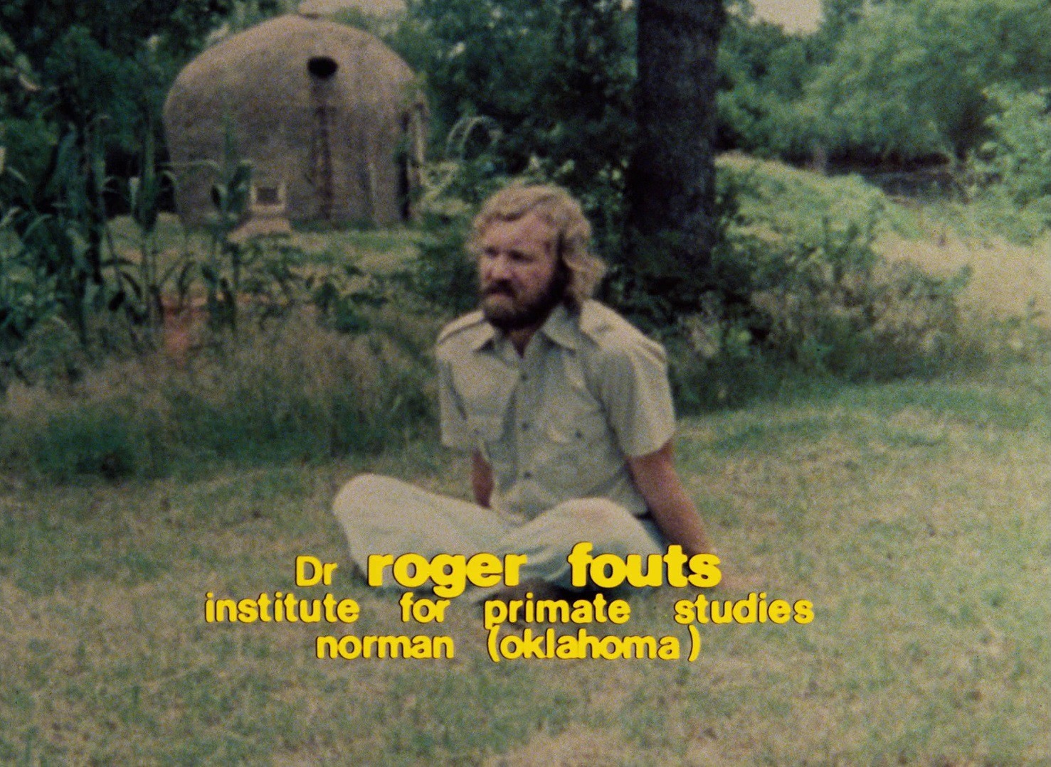 Koko: A Talking Gorilla (1978) —  shot,  lighting