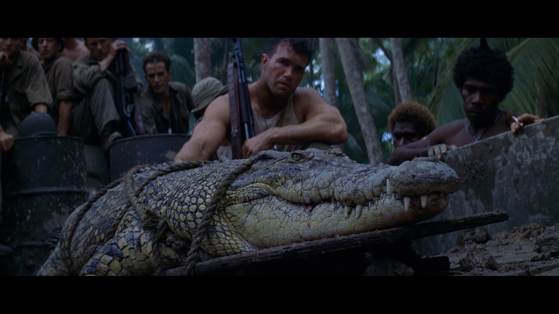 The Thin Red Line (1998) —  shot,  lighting