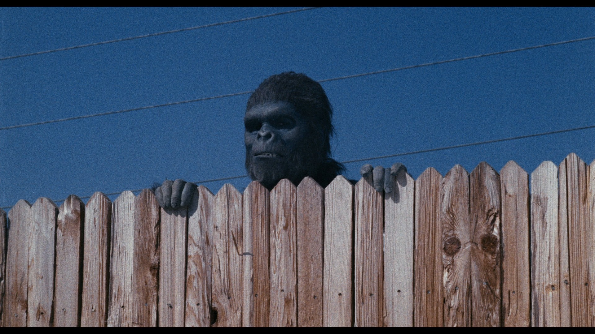 Schlock (1973) —  shot,  lighting