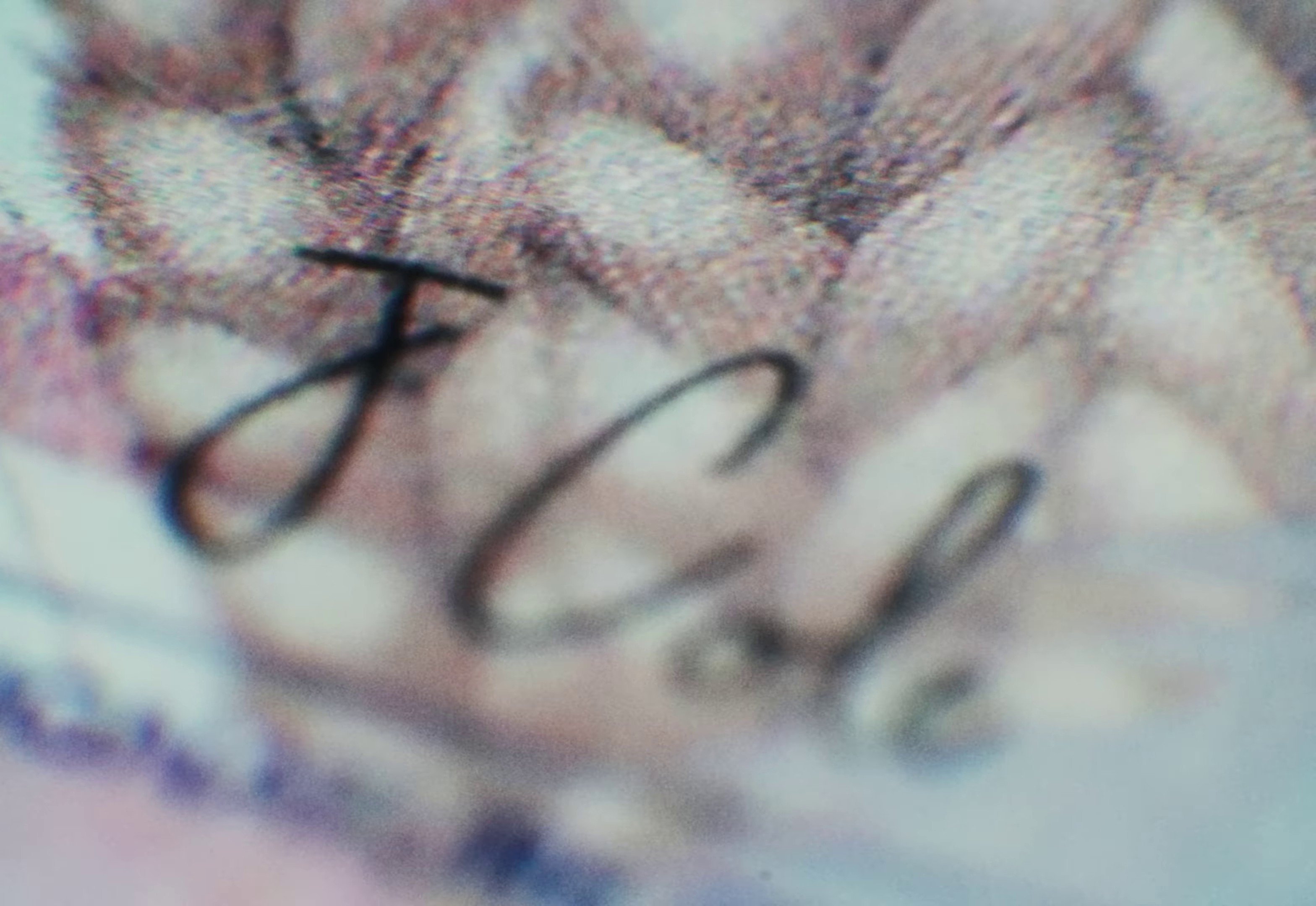 Passport Bros (2023) —  shot,  lighting