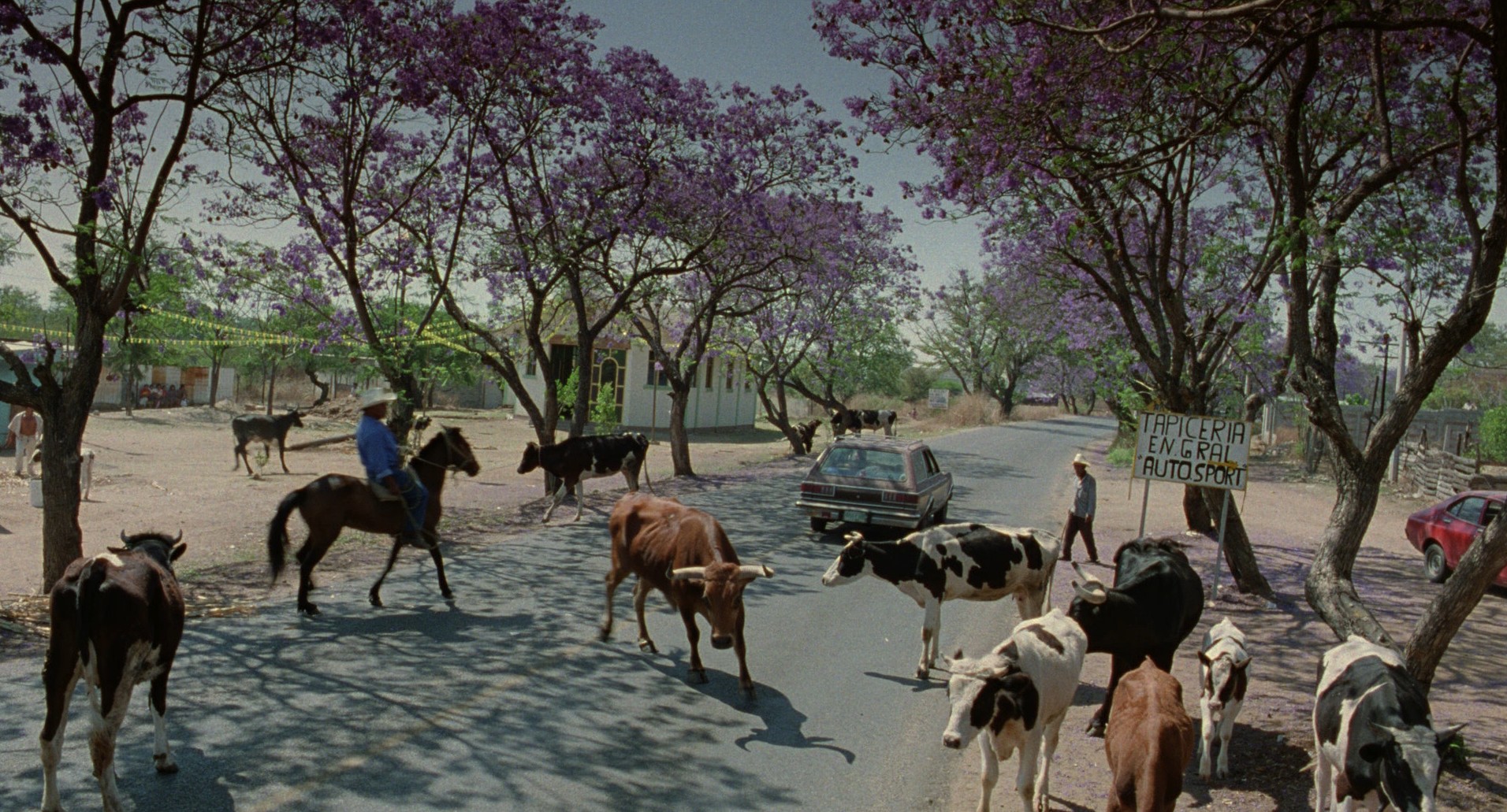 Y Tu Mamá También (2001) —  shot,  lighting