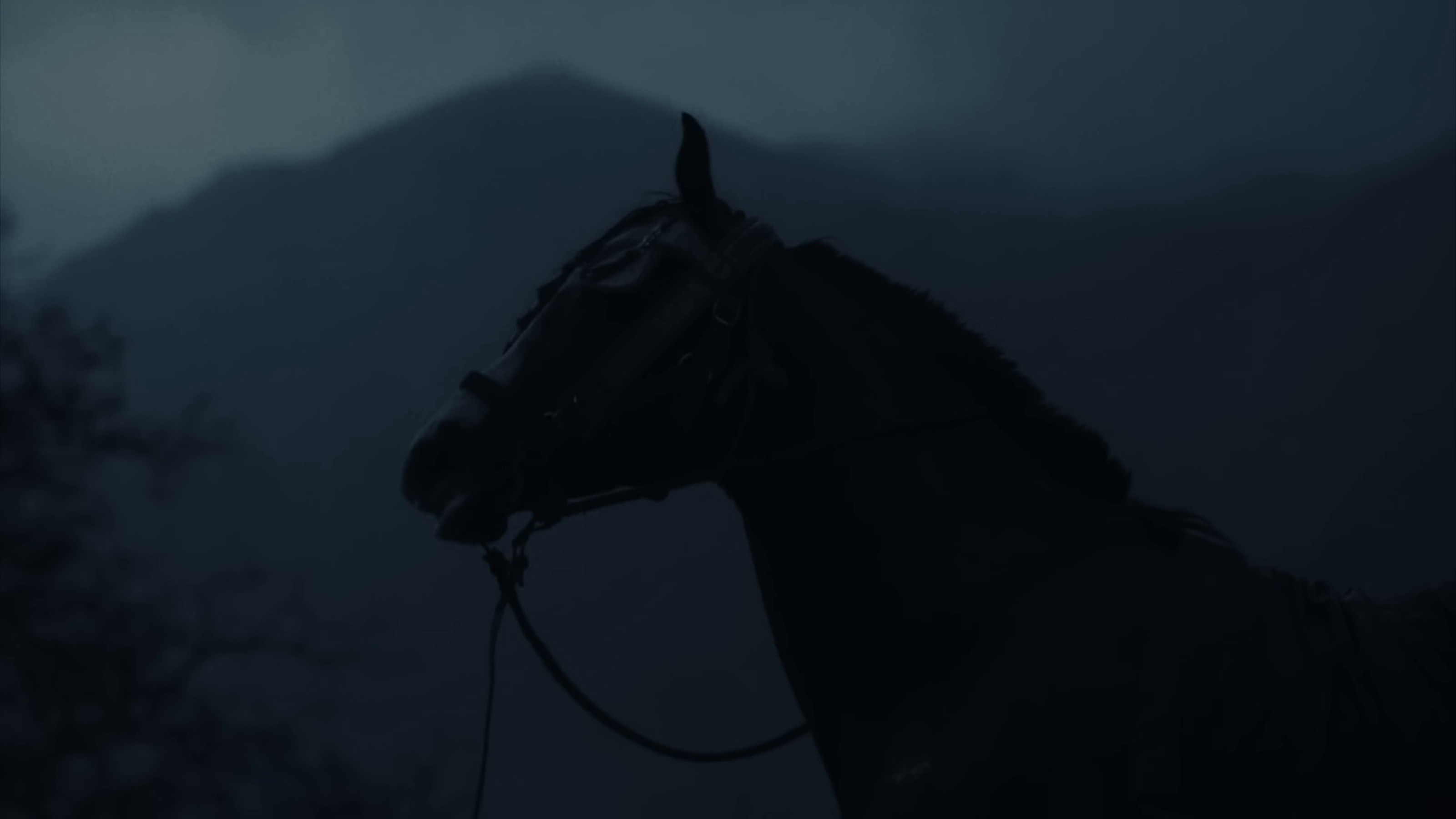 END OF TIME (2025) —  shot,  lighting