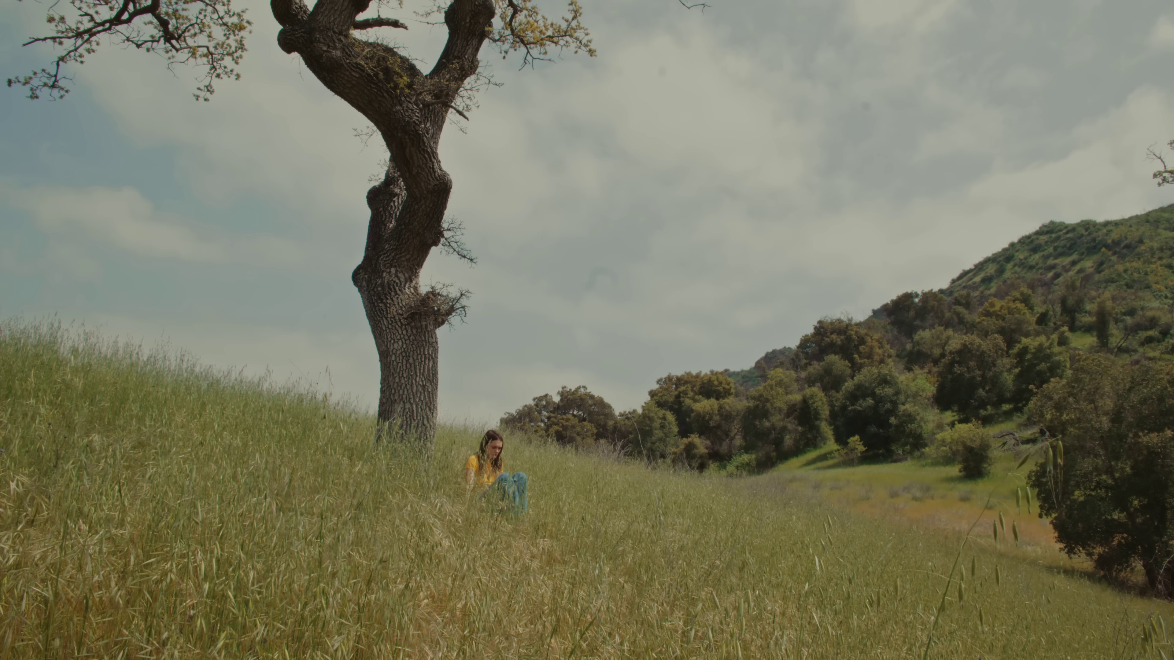 I Don't Wanna Dance (2024) —  shot,  lighting