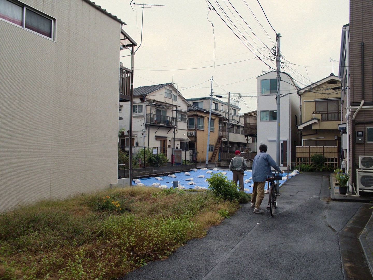 Perfect Days (2023) —  shot,  lighting