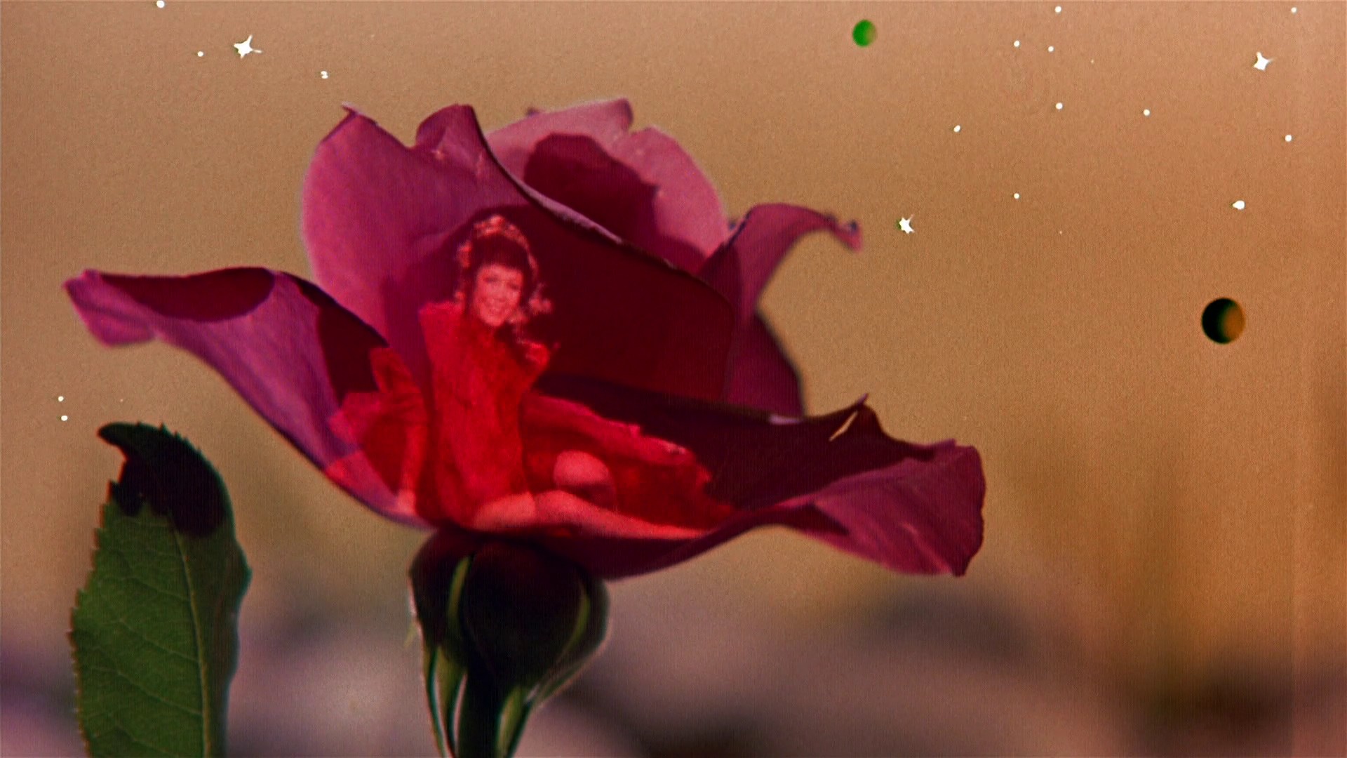 The Little Prince (1974) —  shot,  lighting