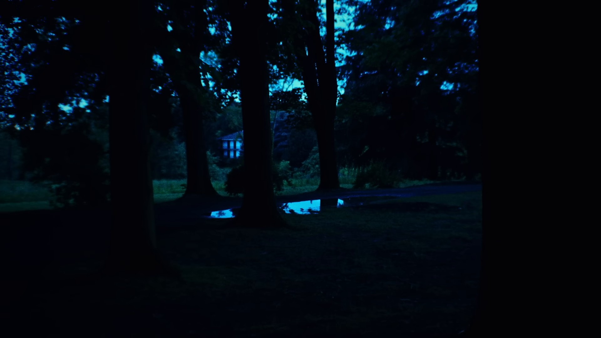 tutta vera (2024) —  shot,  lighting