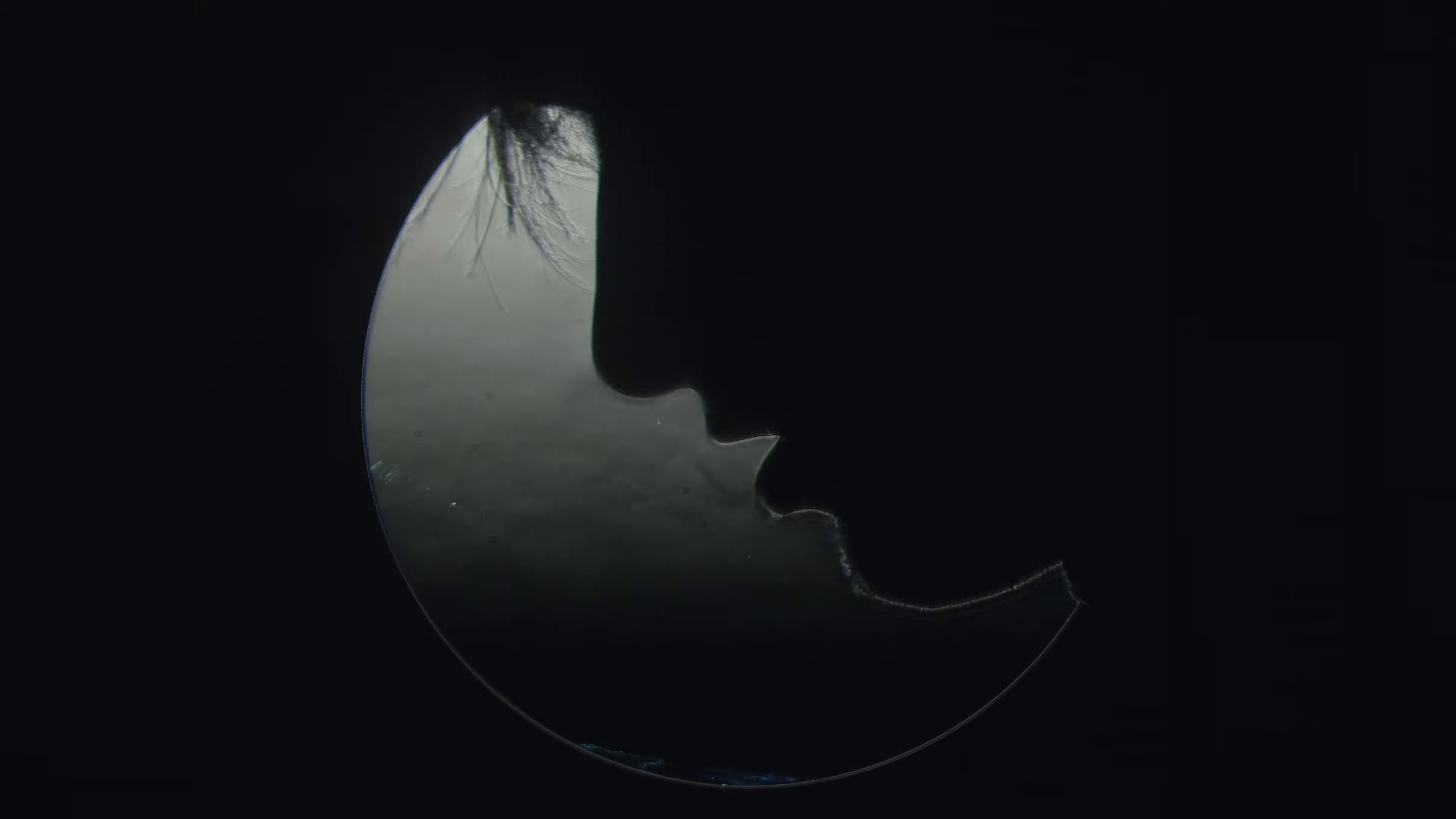 Mathématiques (2026) —  shot,  lighting