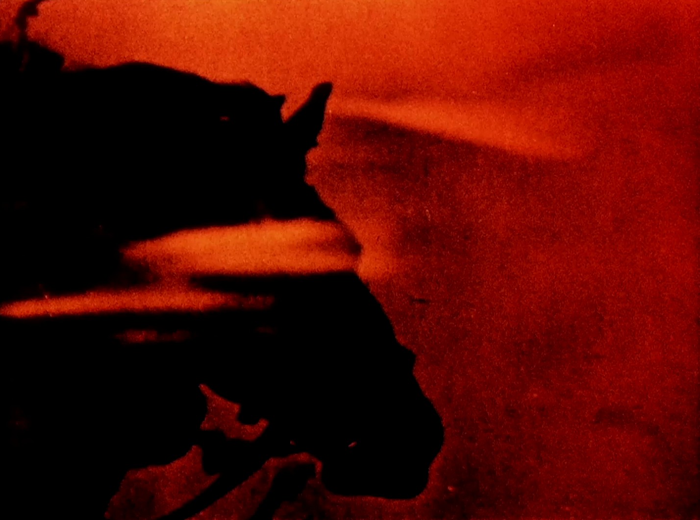 Shadows of Forgotten Ancestors (1965) —  shot,  lighting