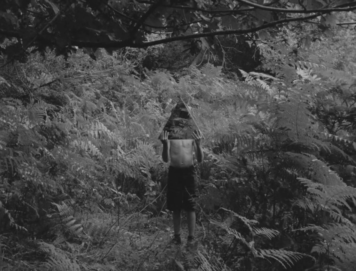 Knock Out Ginger (2014) —  shot,  lighting