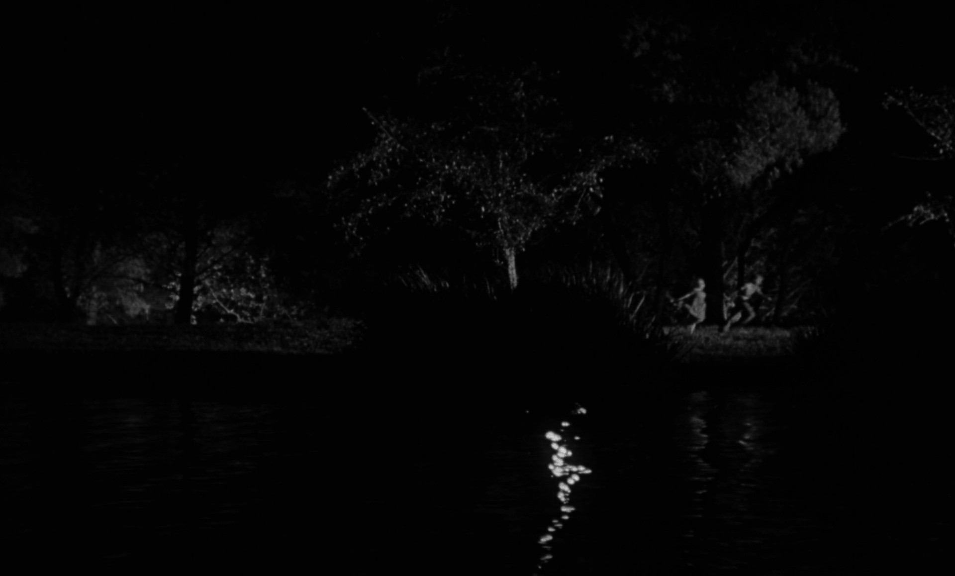 The Night of the Hunter (1955) —  shot,  lighting