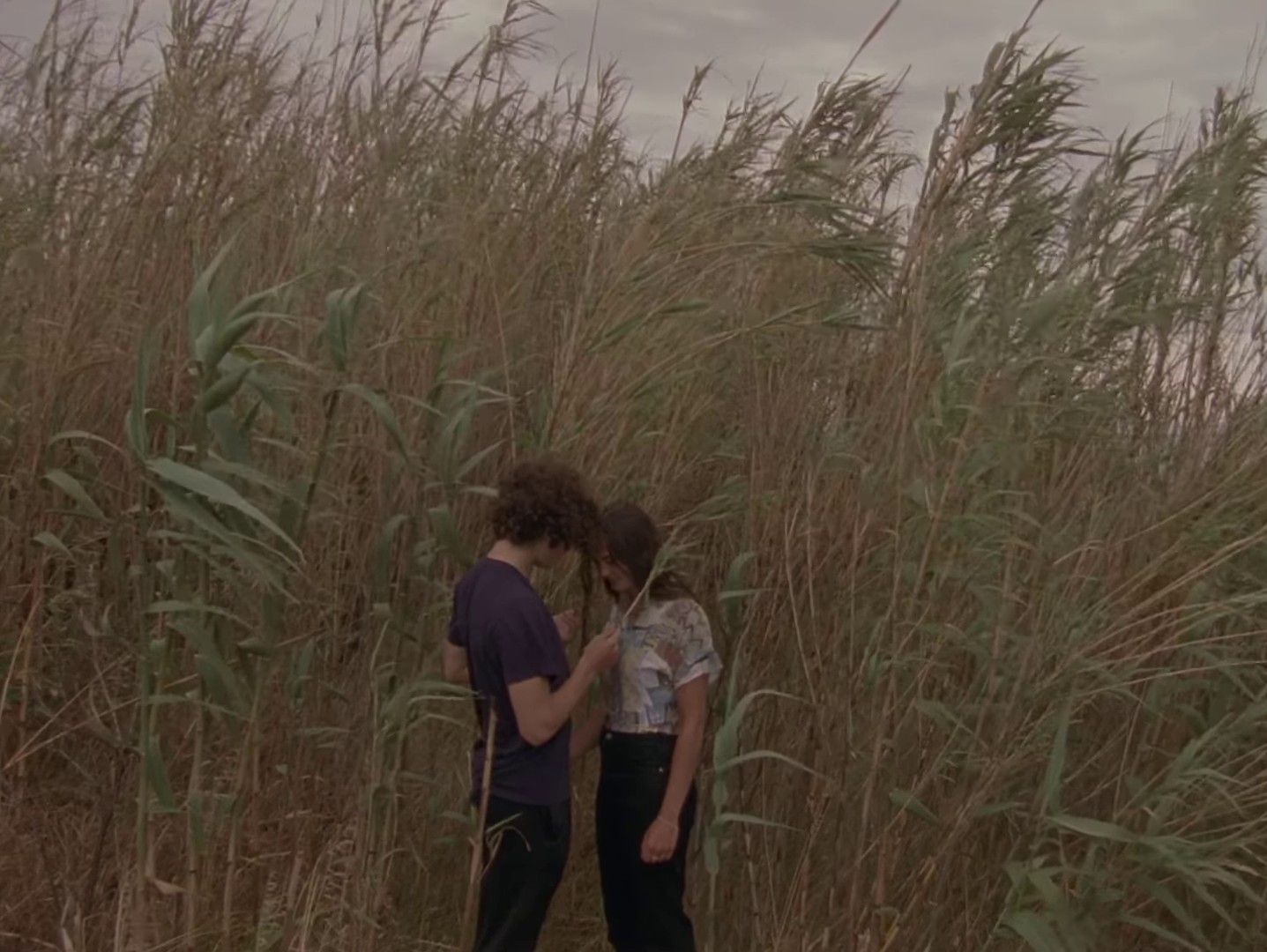 Will We Talk?  (2019) —  shot,  lighting