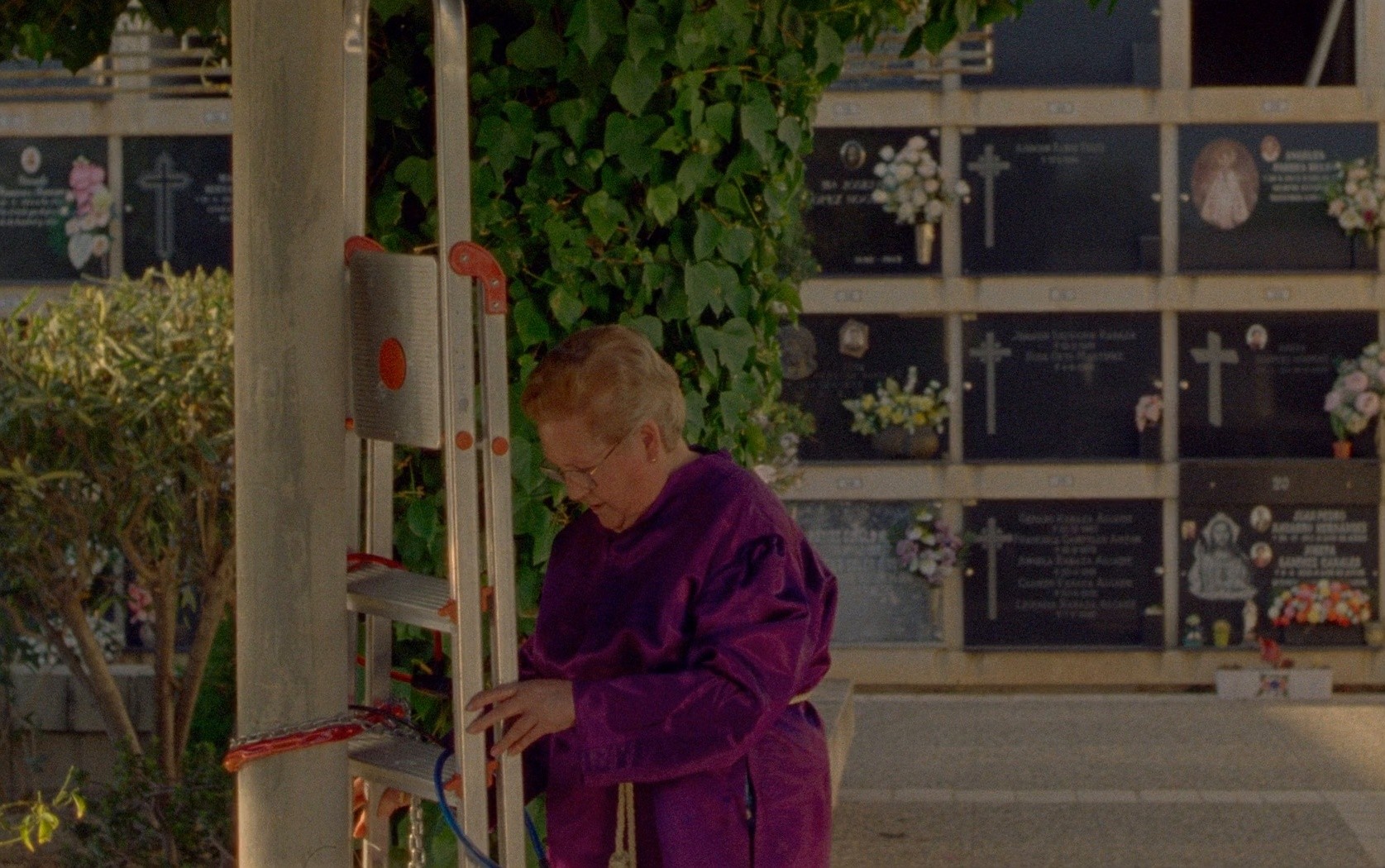 The Sacred Spirit (2021) —  shot,  lighting