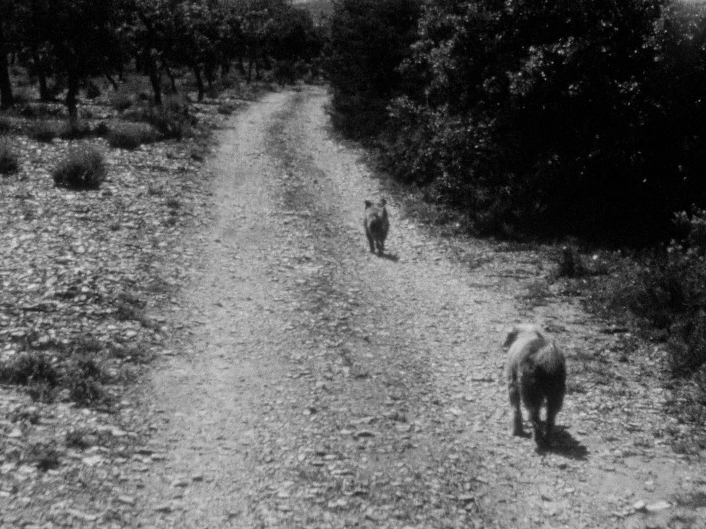 Diptych (2011) —  shot,  lighting