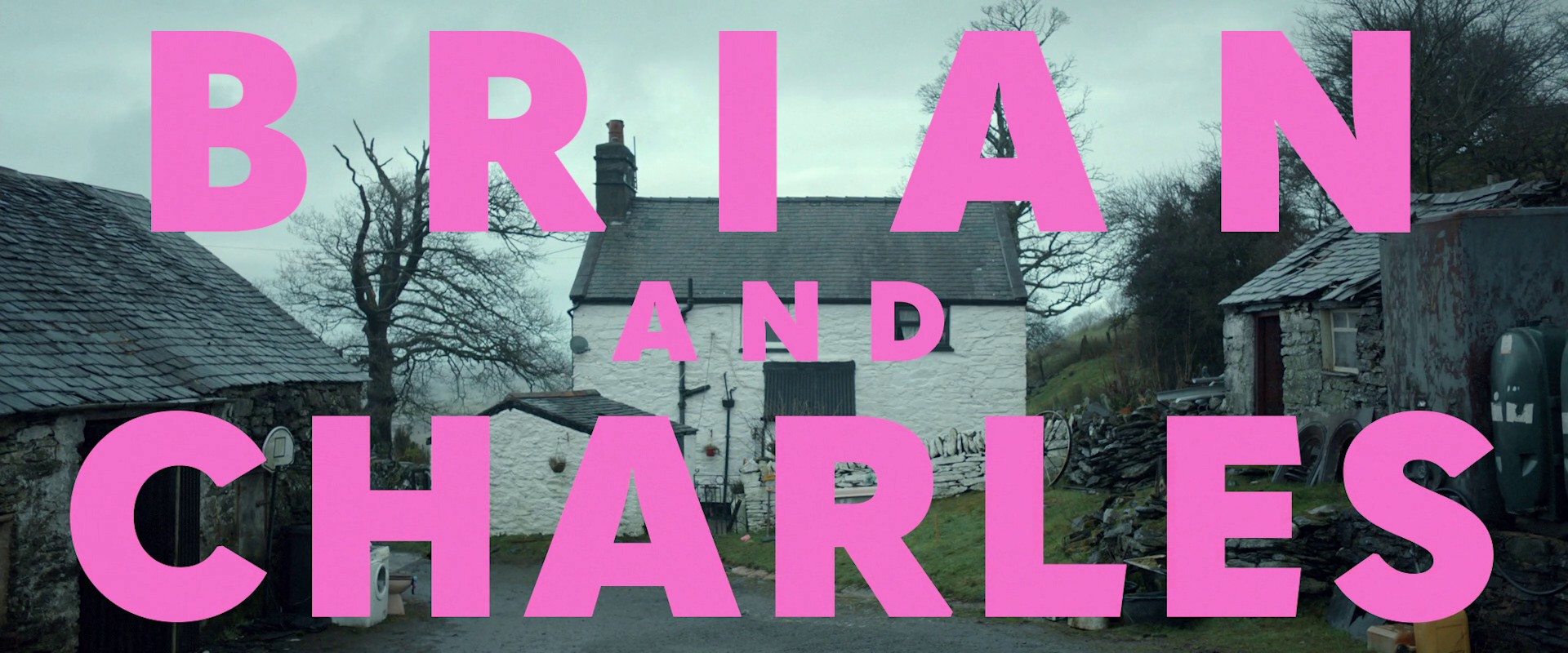 Brian and Charles (2022) —  shot,  lighting