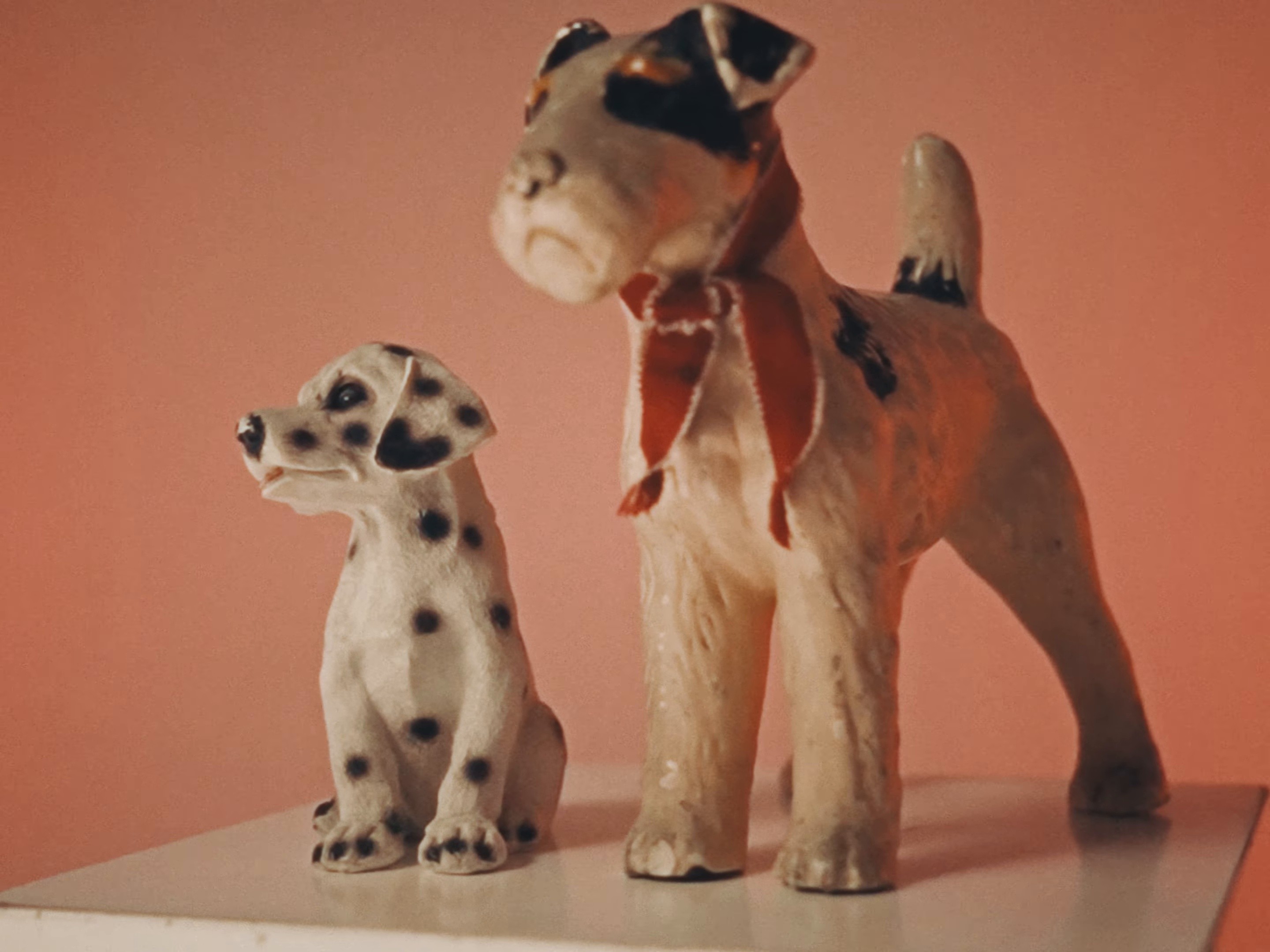 dog (2024) —  shot,  lighting