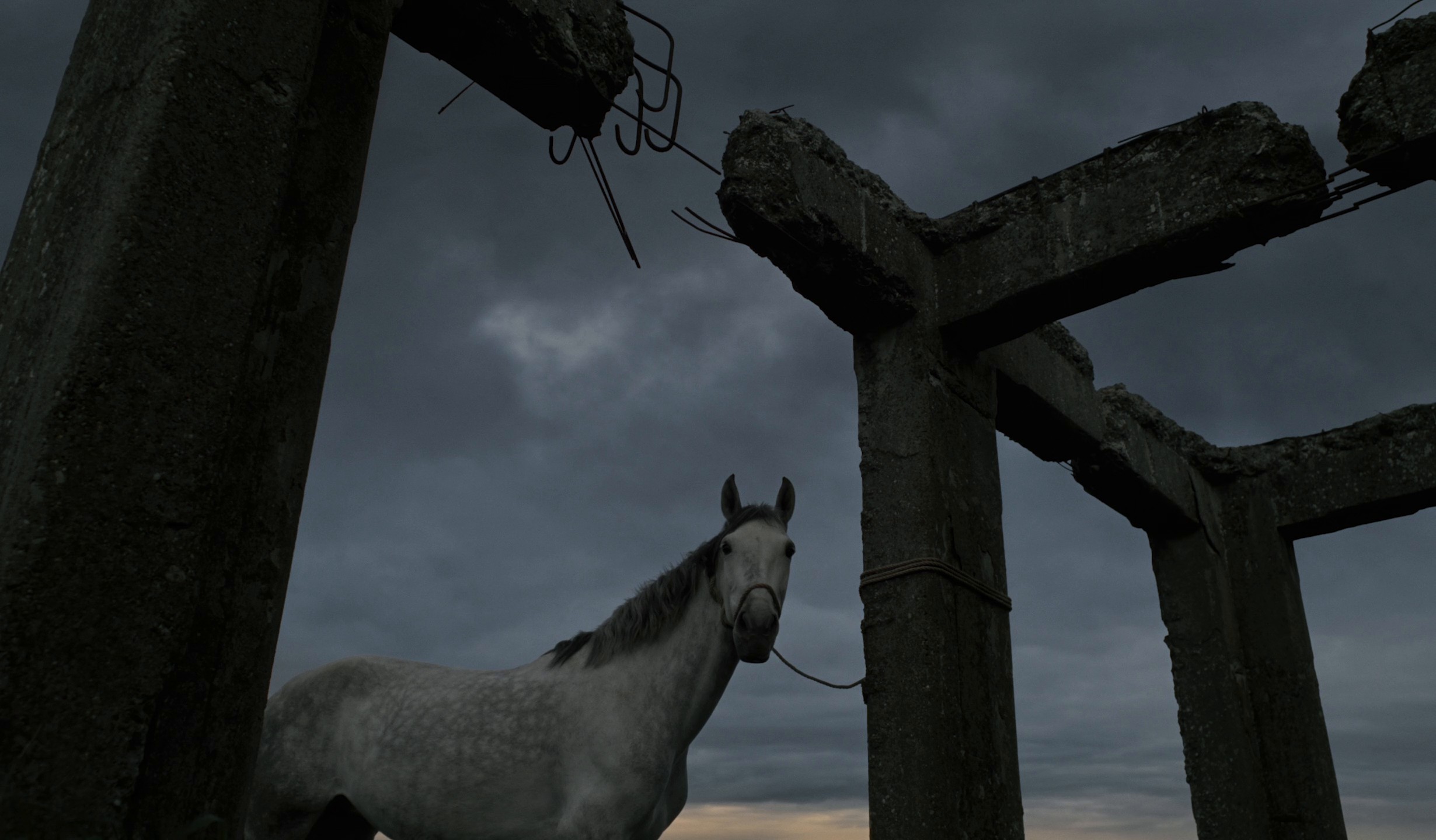 DEMON (2024) —  shot,  lighting