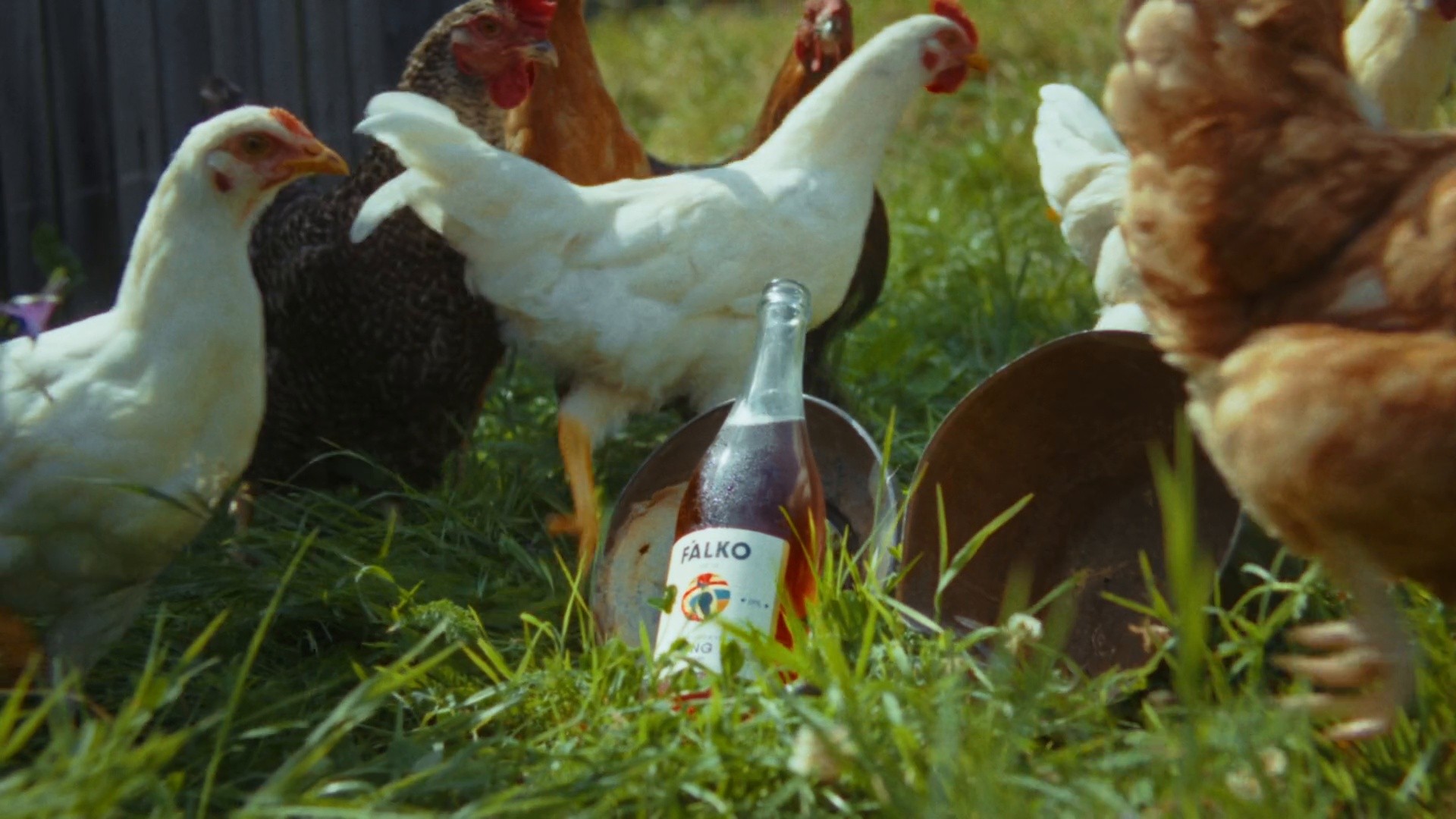 Falko x Launch (2024) —  shot,  lighting