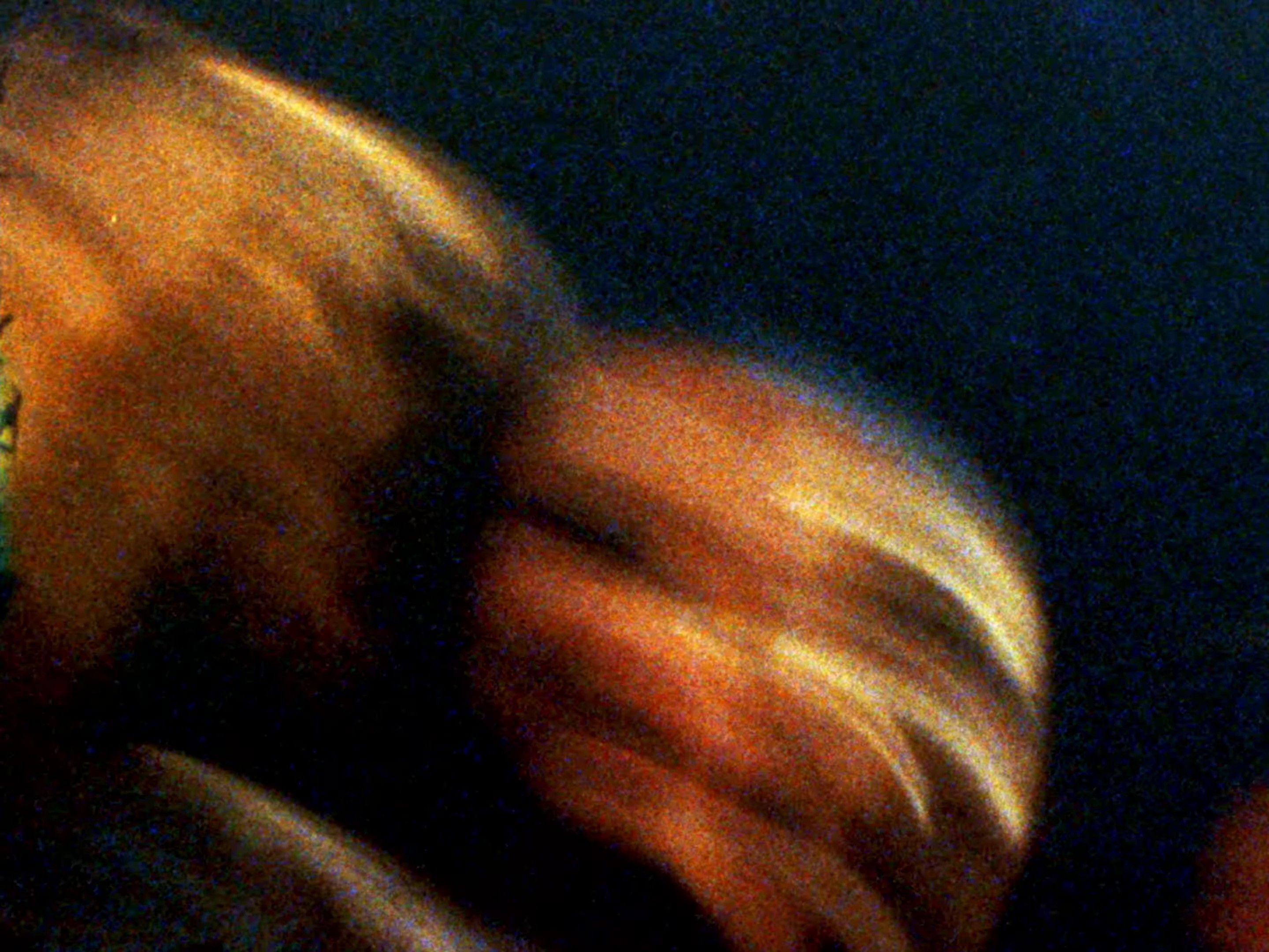 Te seguiré besando (2024) —  shot,  lighting