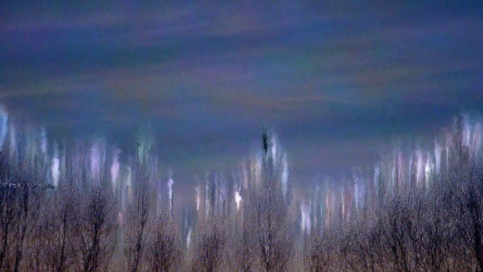 What Holds (2022) —  shot,  lighting