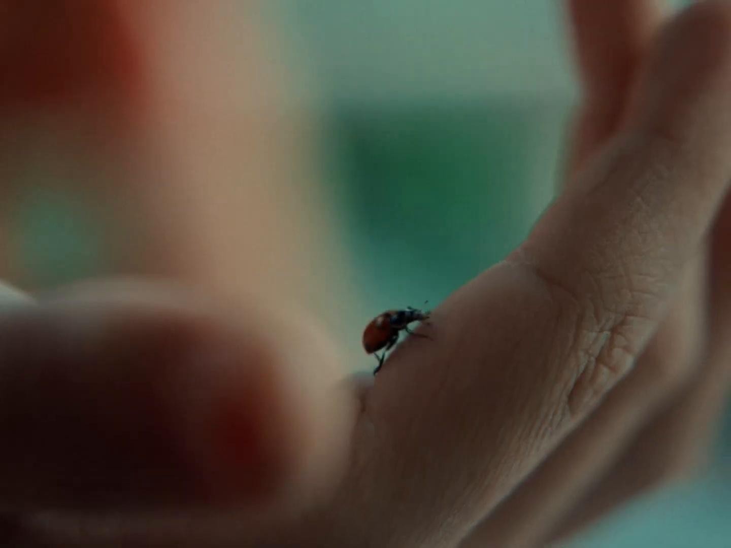 Reverse: Measure of Creation (2024) —  shot,  lighting