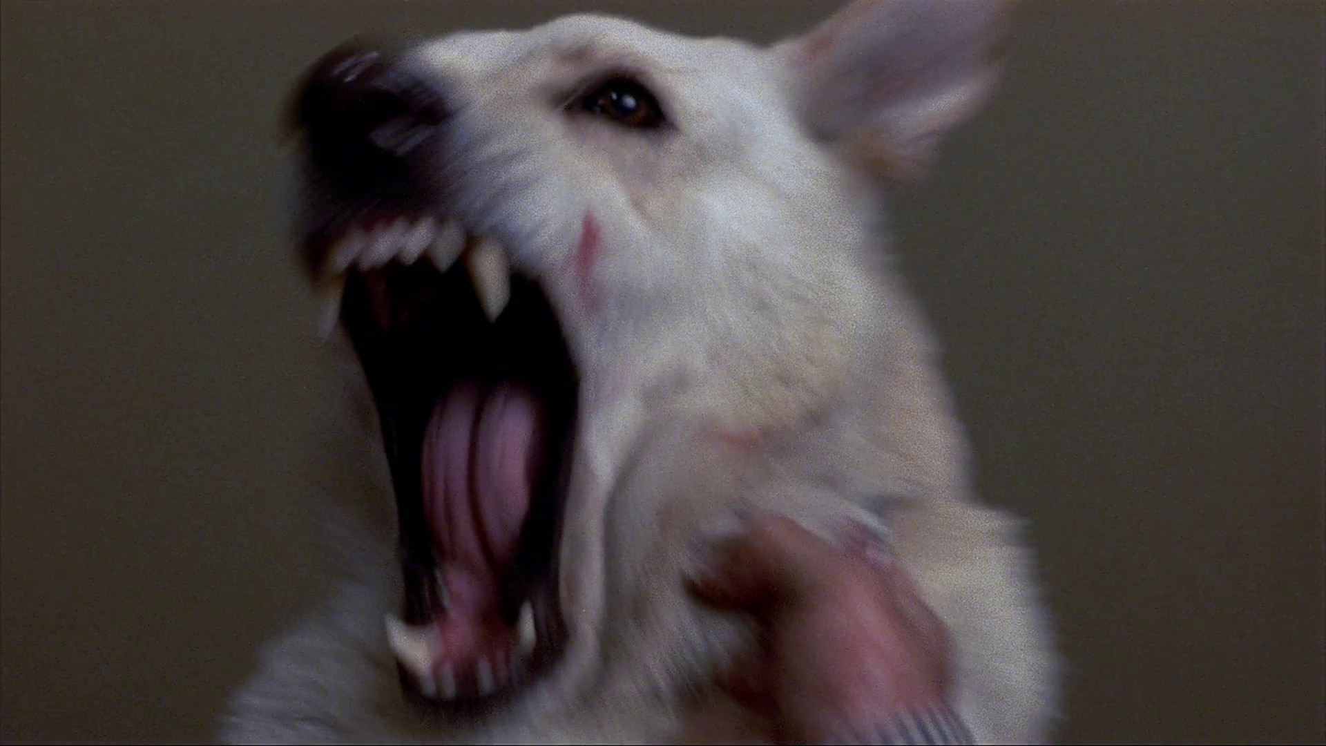 Body Double (1984) —  shot,  lighting