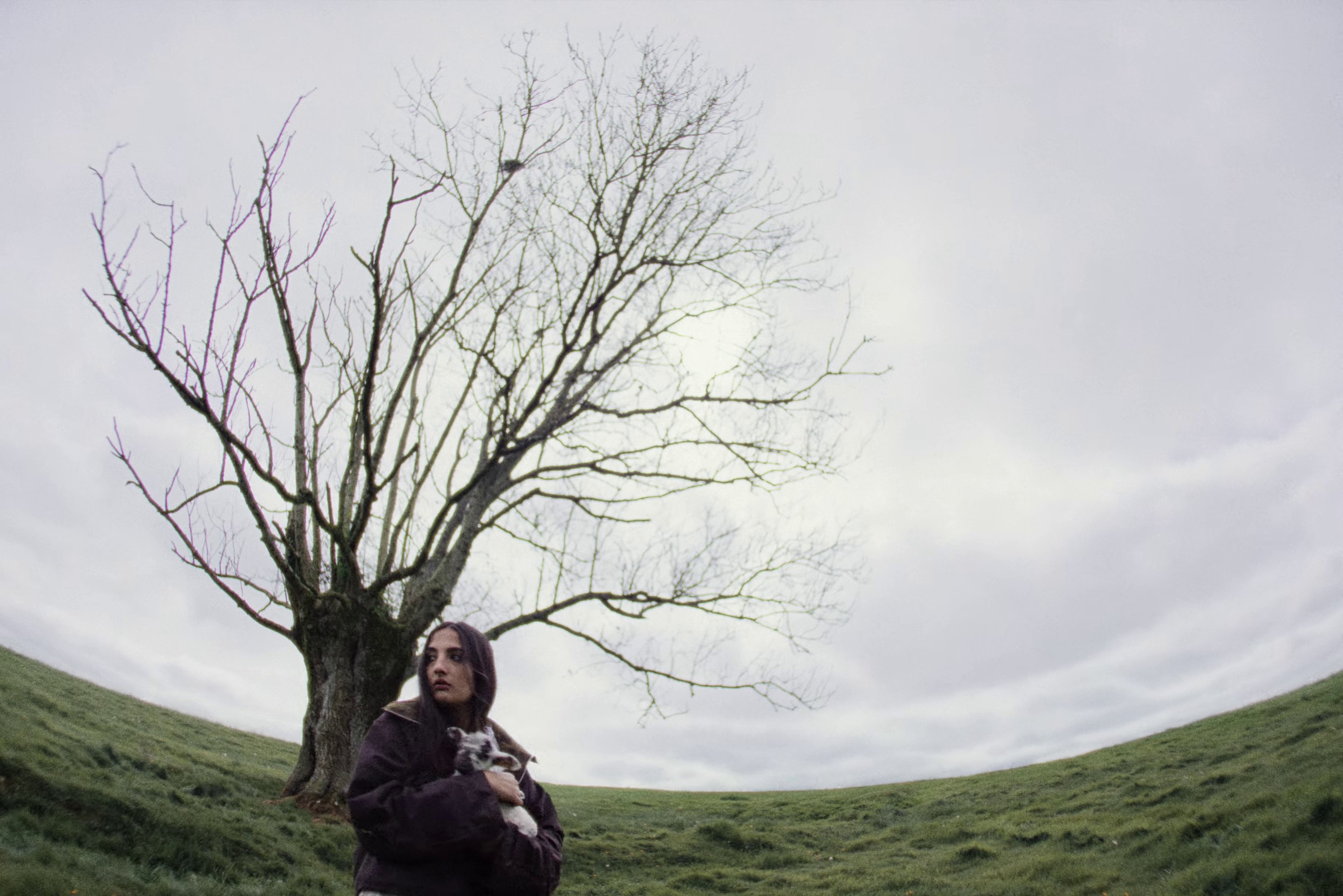 DEUX AILES DE CIRE (2024) —  shot,  lighting