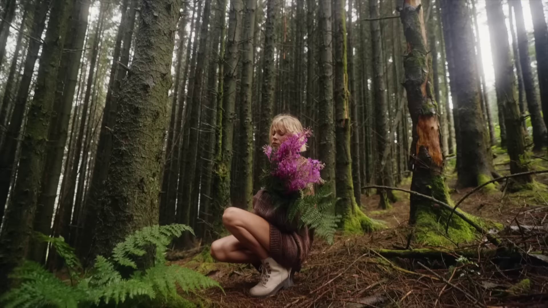 I Should Be A Bird  (2022) —  shot,  lighting