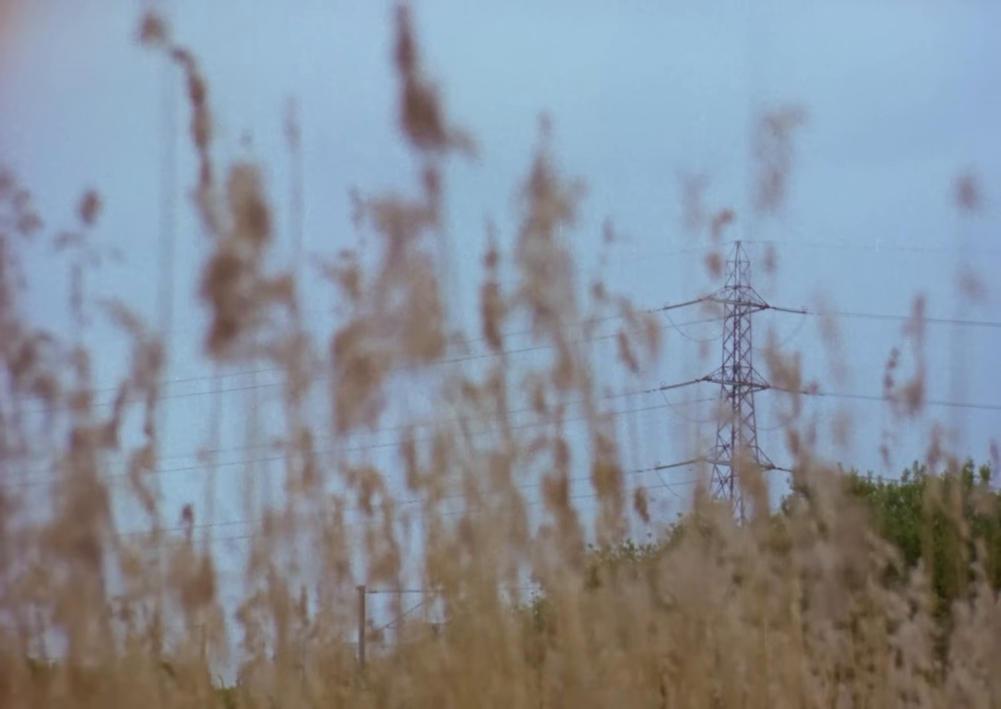 Dream Therapy (2025) —  shot,  lighting