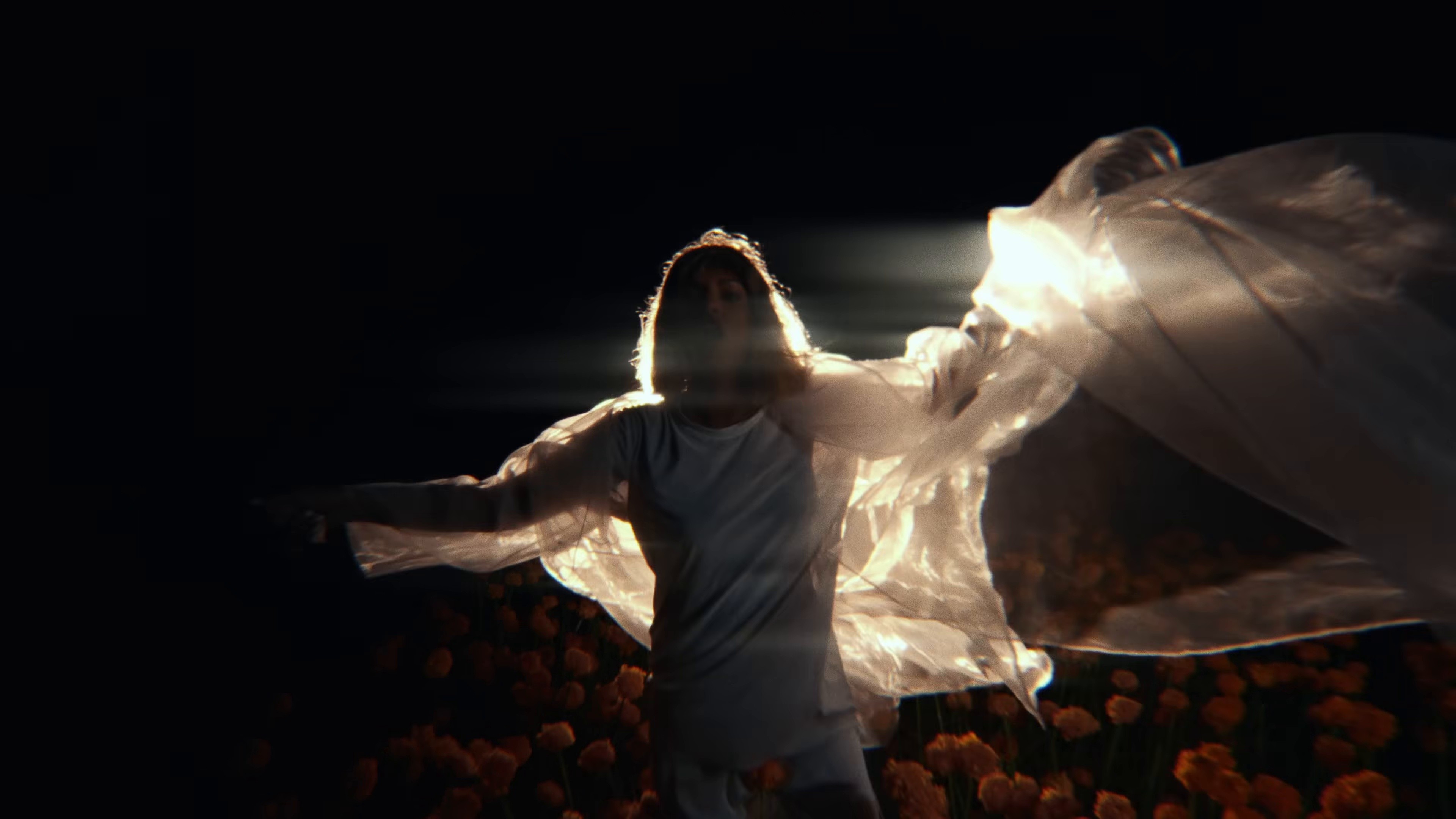 MARIGOLD (2024) —  shot,  lighting