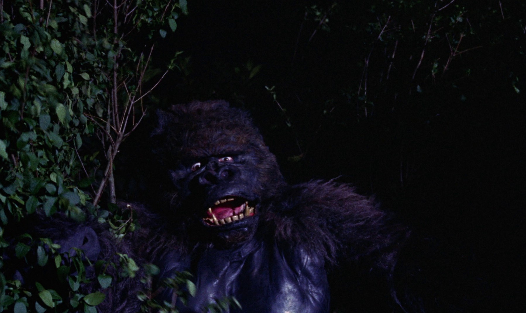 Konga (1961) —  shot,  lighting