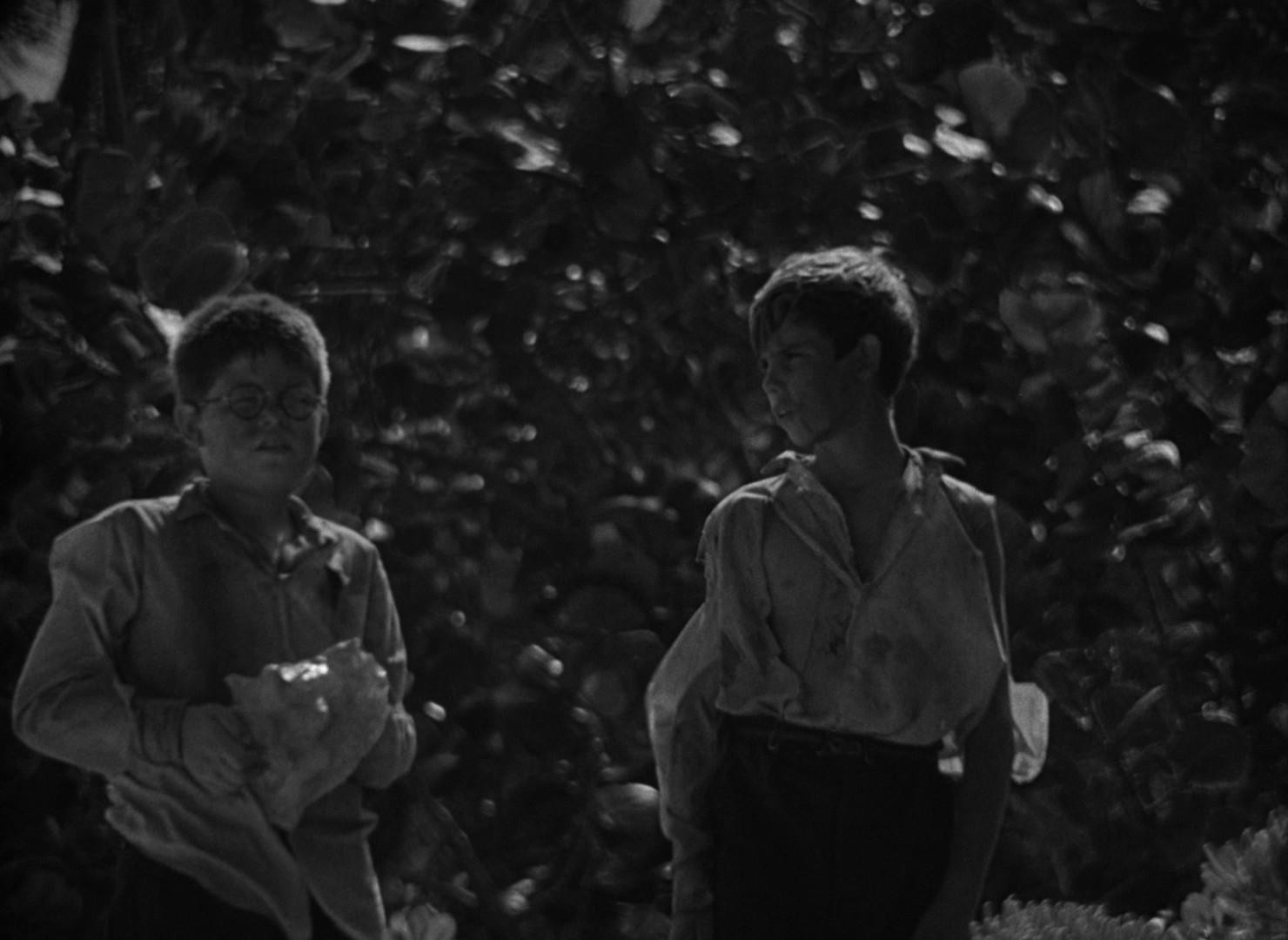 Lord of the Flies (1963) —  shot,  lighting