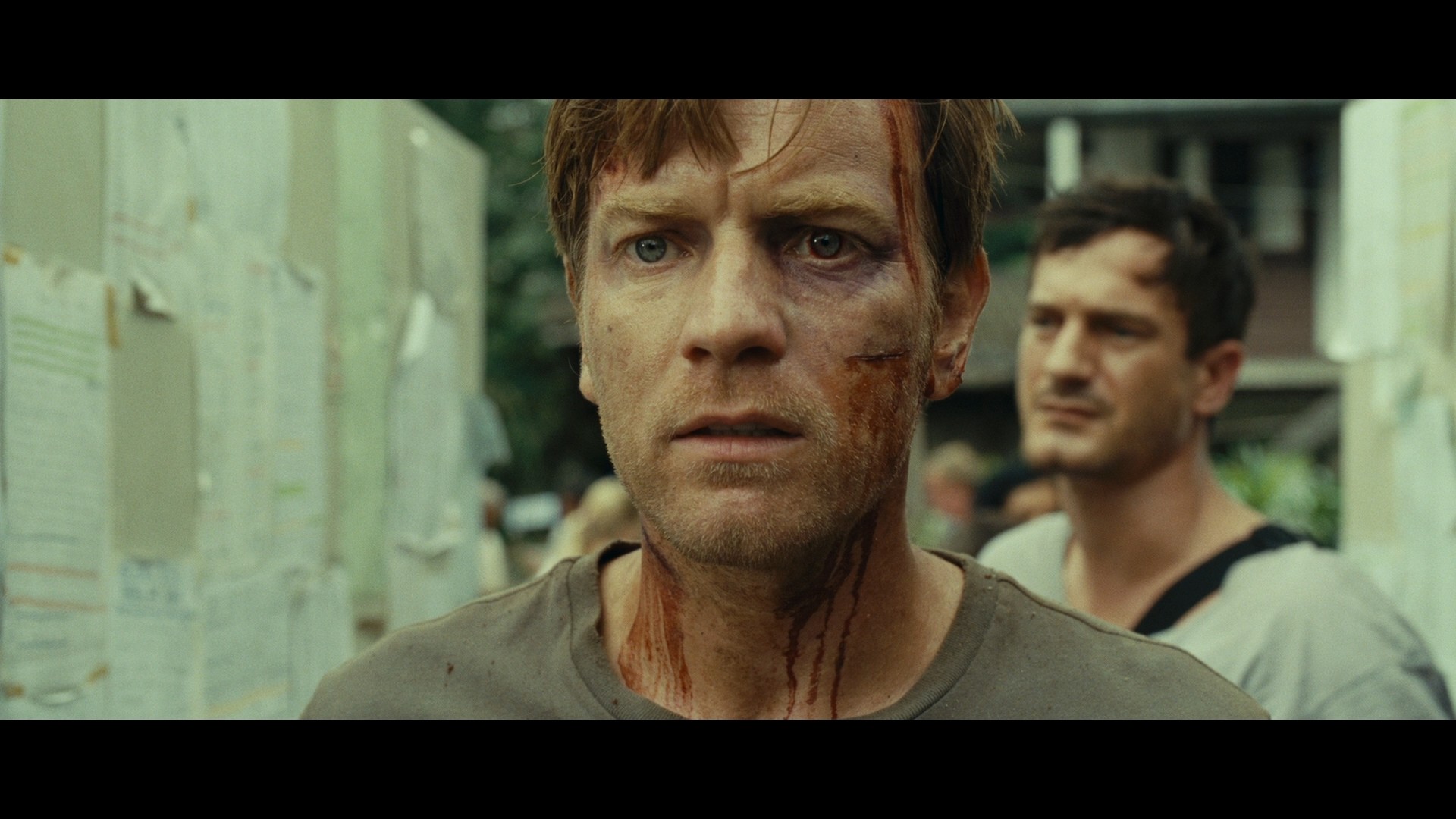 The Impossible (2012) —  shot,  lighting