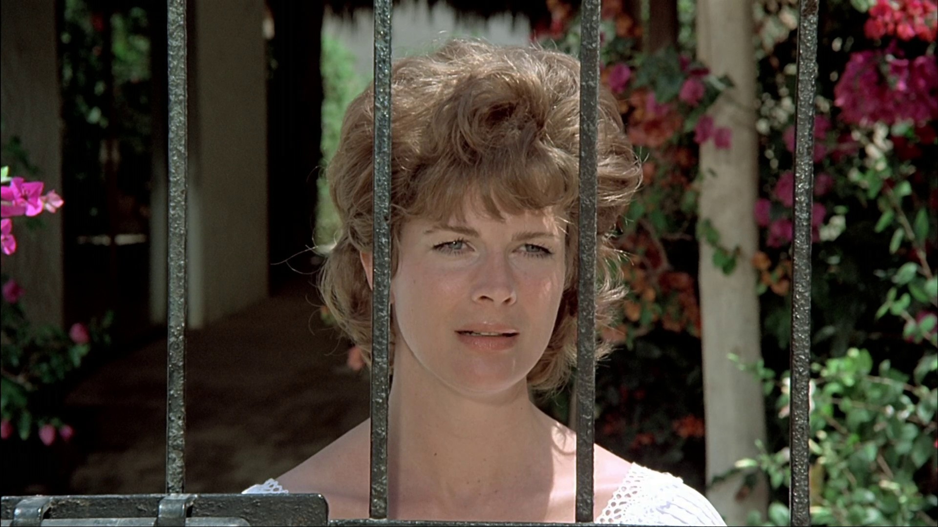 The Domino Principle (1977) —  shot,  lighting