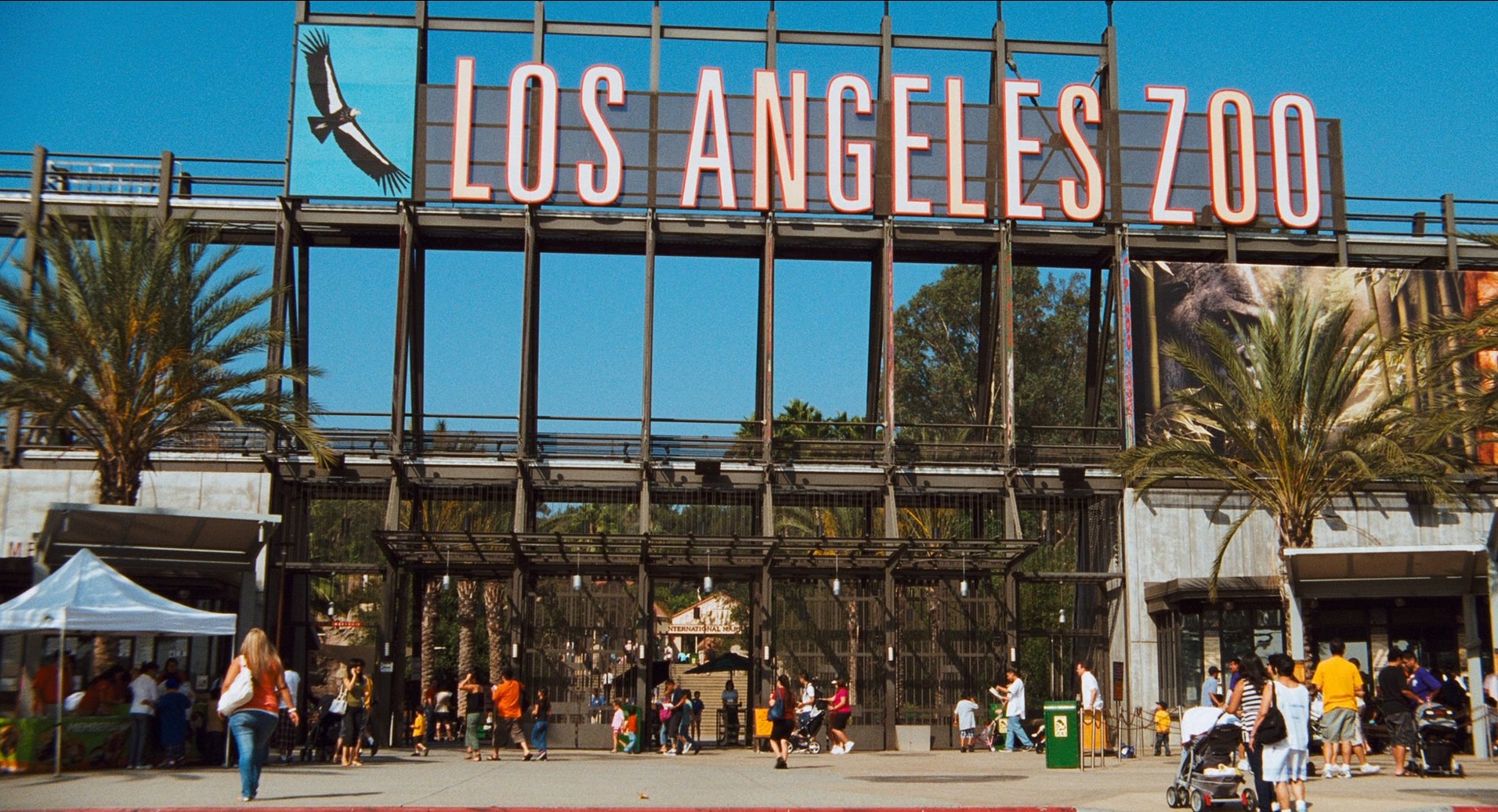 Alvin and the Chipmunks: The Squeakquel (2009) —  shot,  lighting